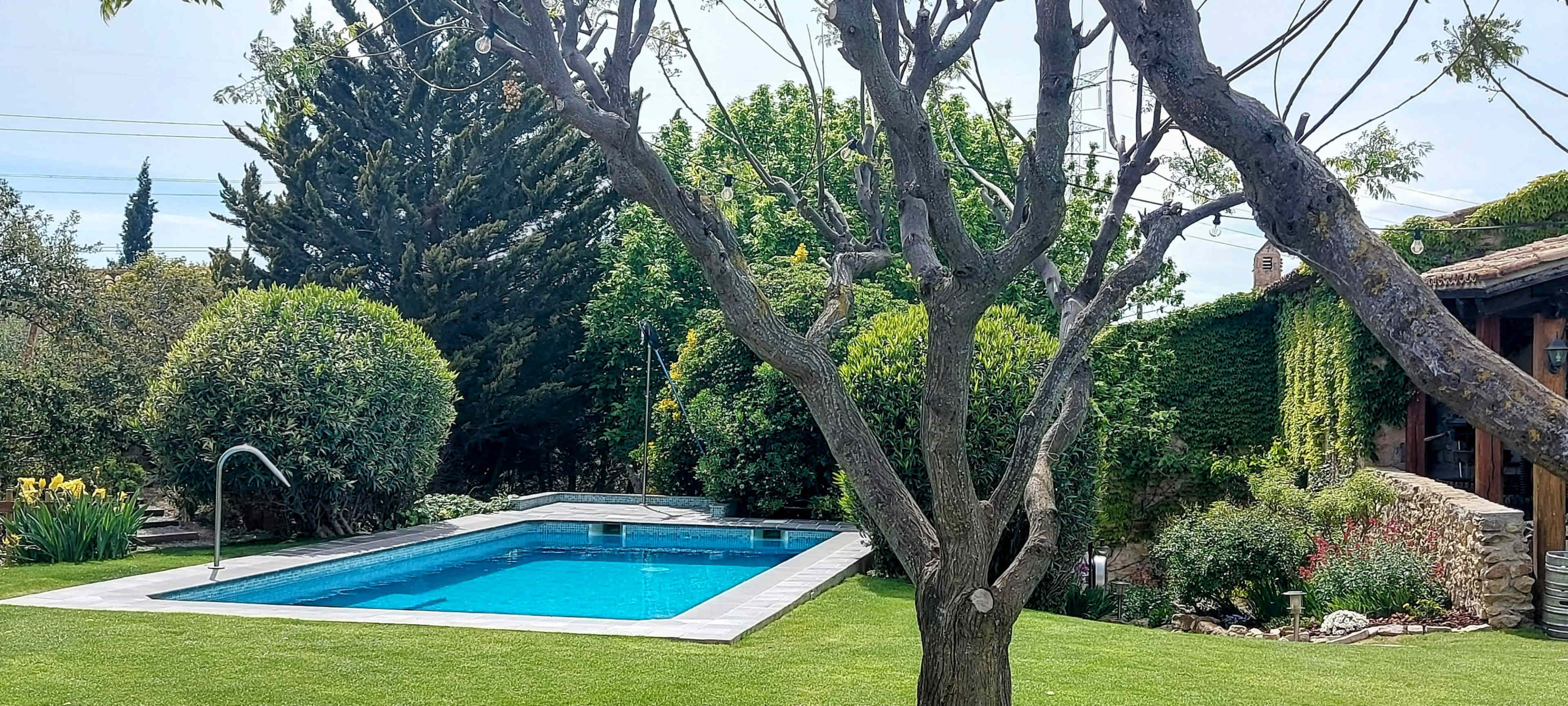 The image shows a rectangular swimming pool surrounded by lush greenery and a bare tree in a well-maintained garden.
