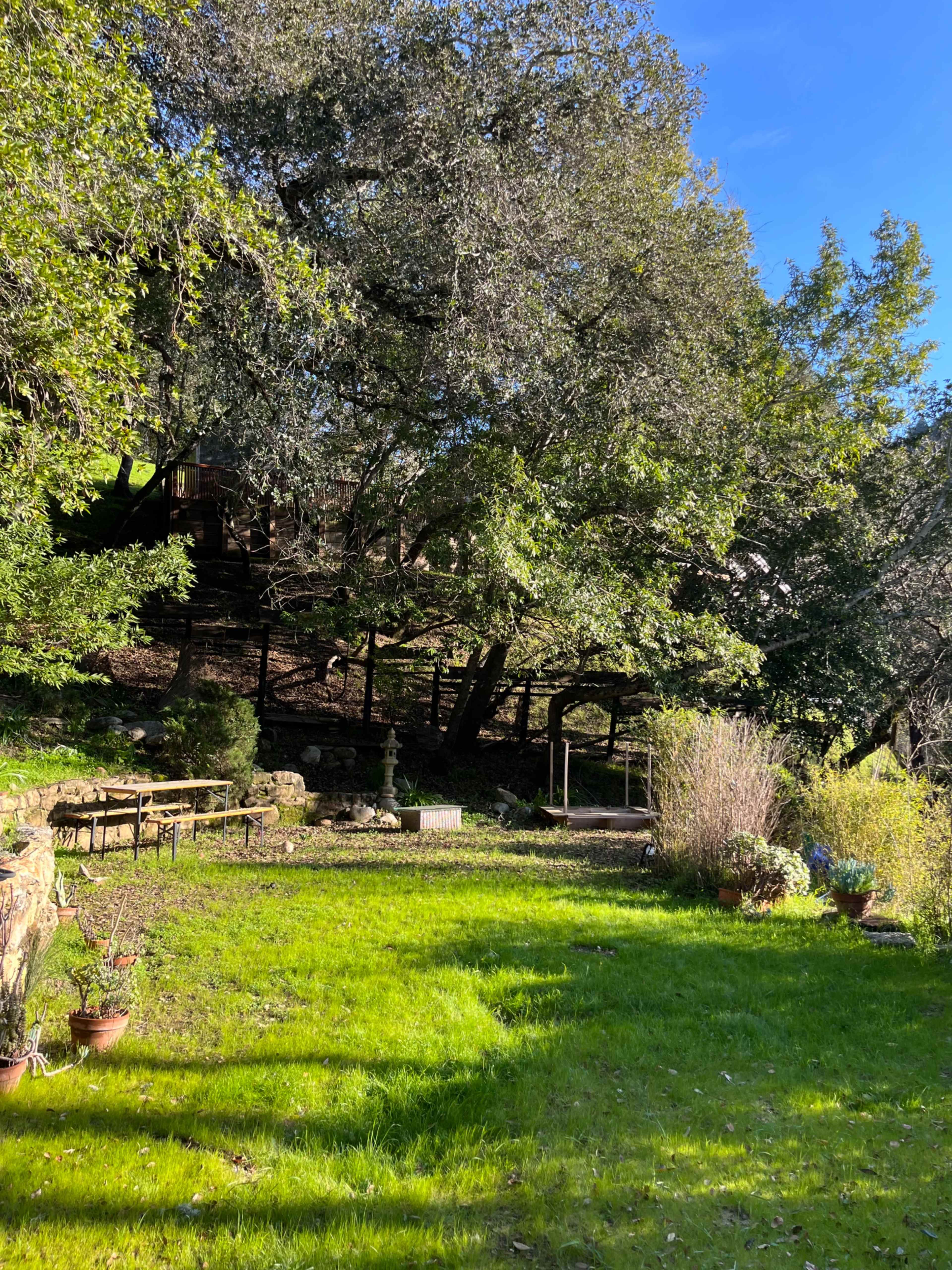 The image shows a green landscape with trees and a garden area featuring potted plants.