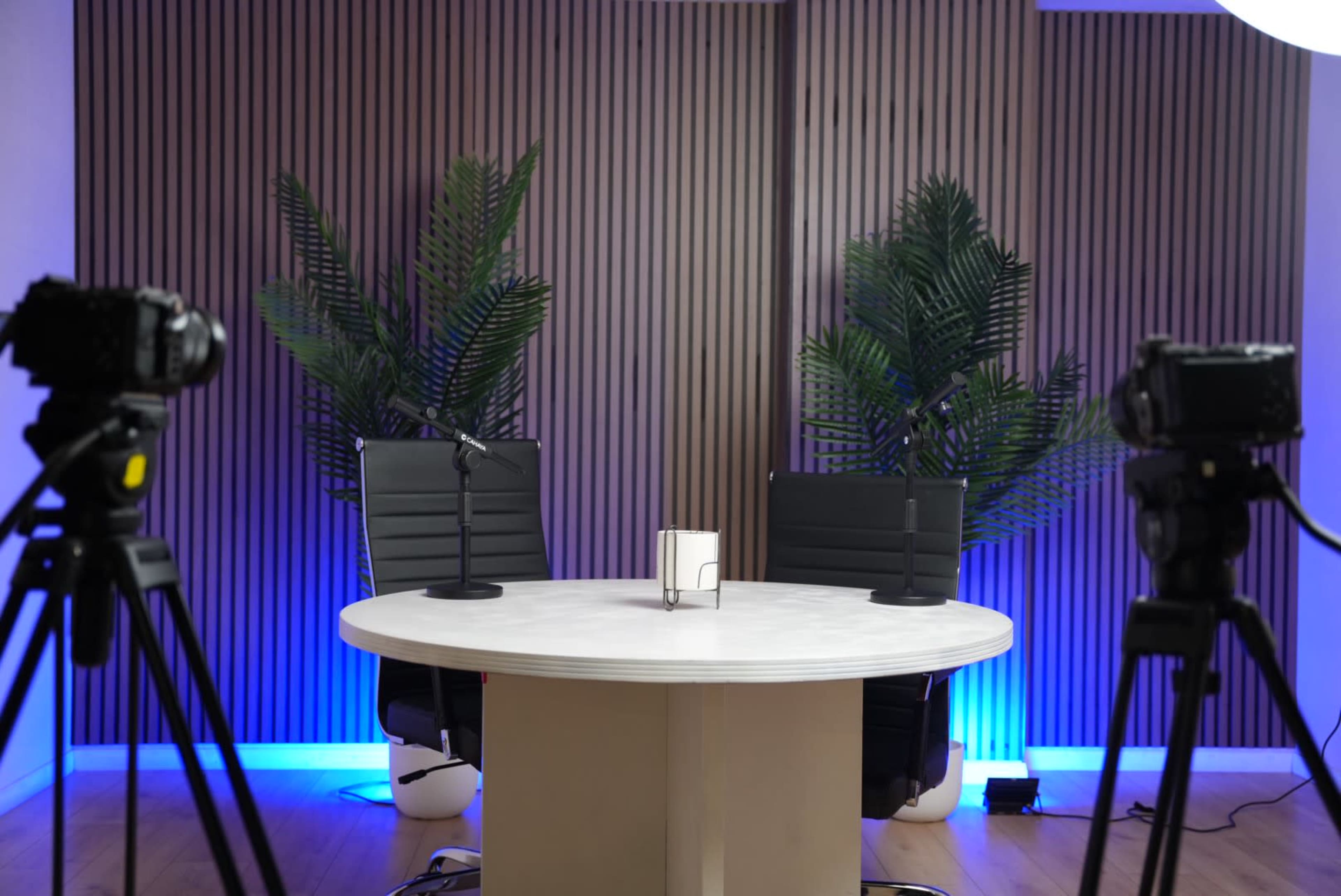 The image shows a minimalist interview setup with two black chairs at a round white table, surrounded by cameras on tripods and decorated with indoor plants against a wooden backdrop.