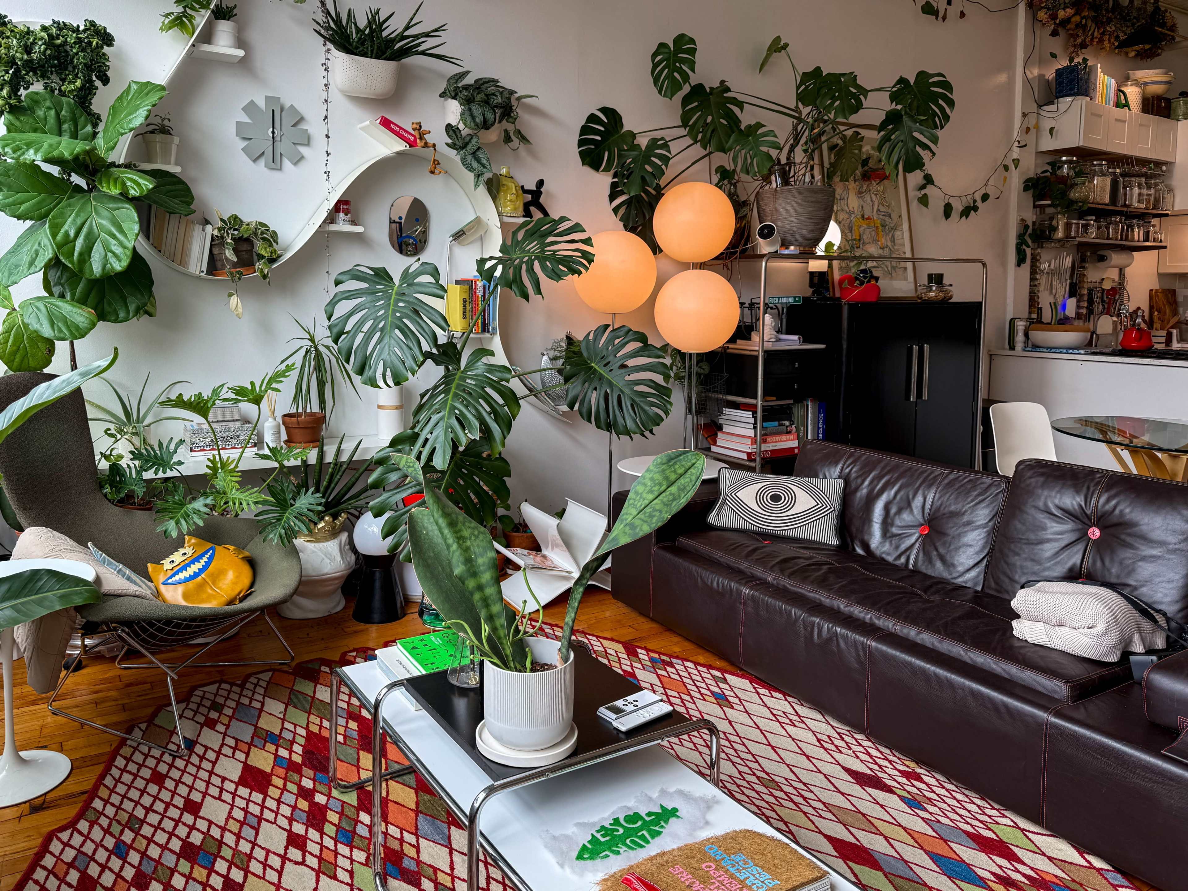 Designer Loft with 14ft Windows & Lush Greenery Image in Bushwick, Brooklyn, NY