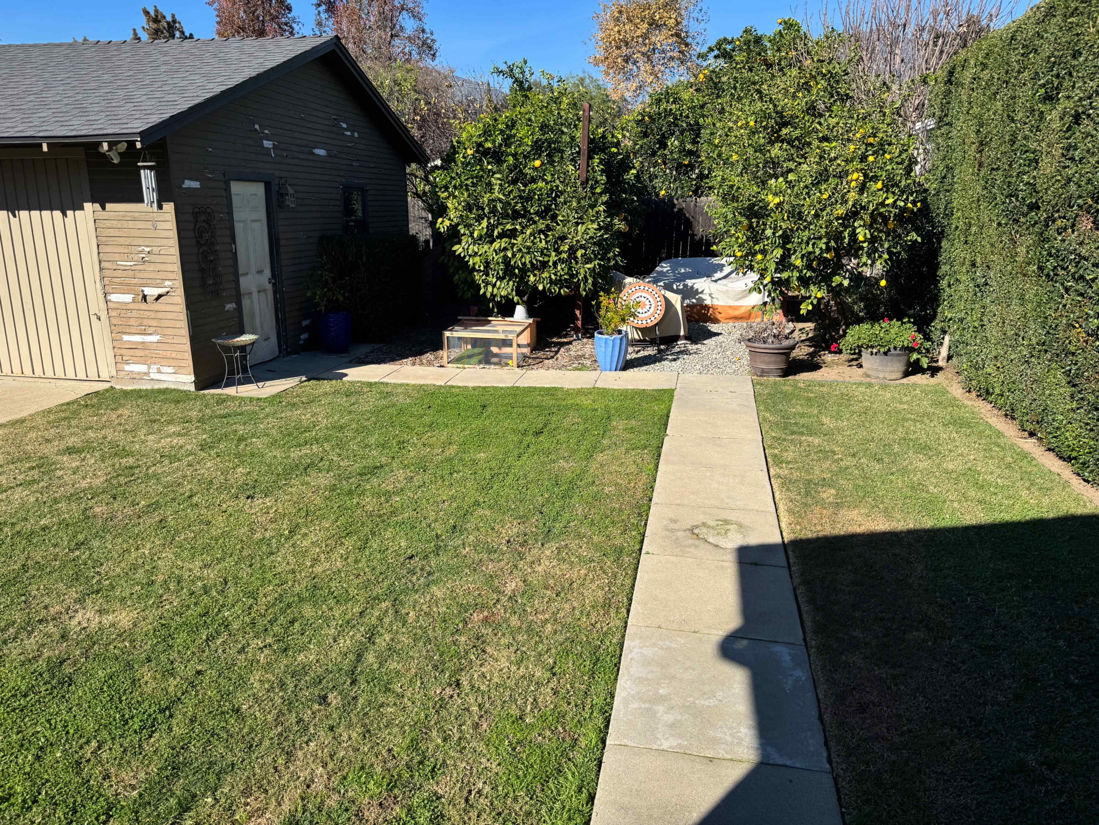 Private Backyard Event Space | Intimate Gatherings & Photo Shoots Image in , Monrovia, CA