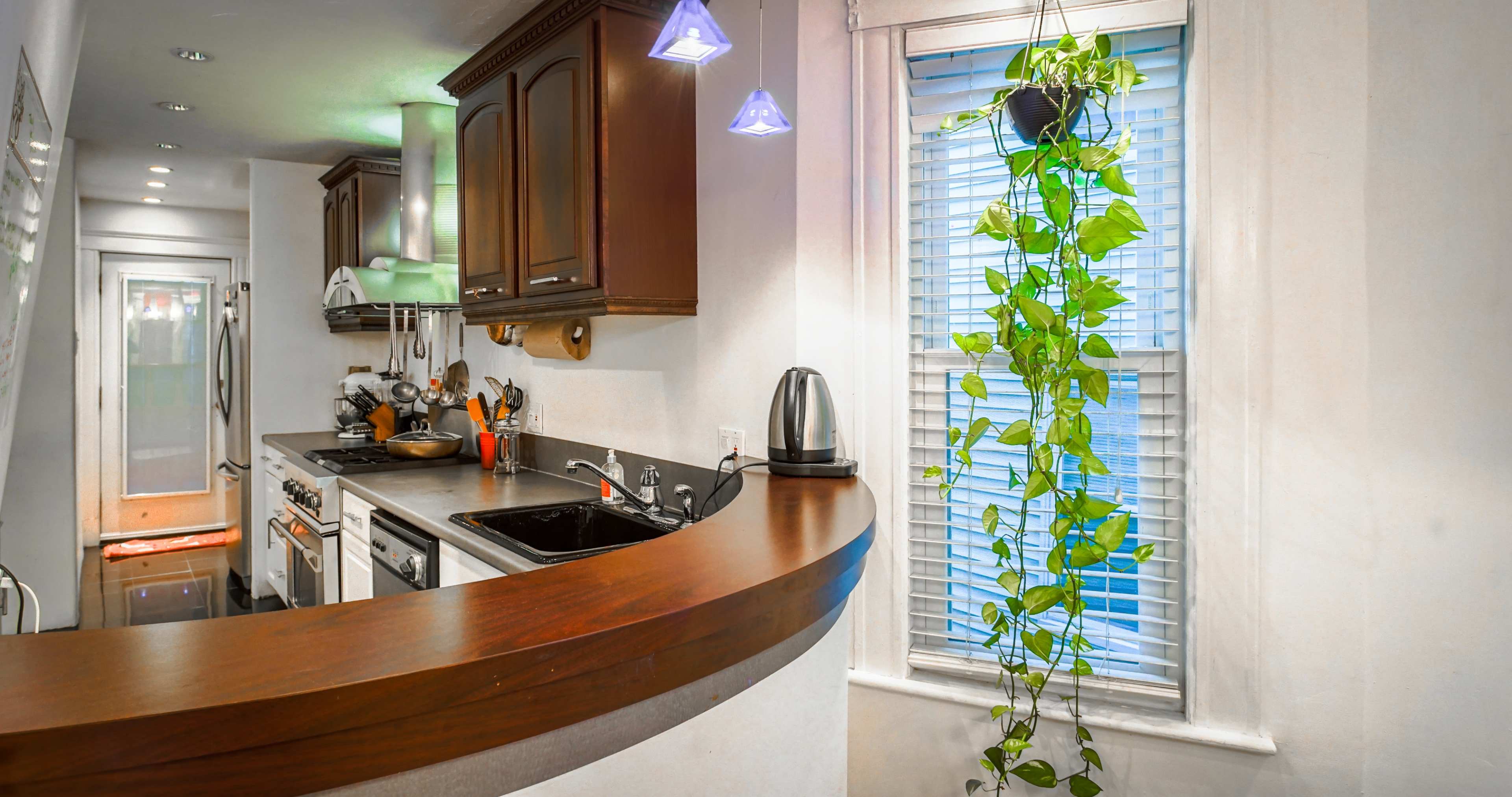 A kitchen with dark cabinetry, a curved wooden counter, and a hanging potted plant near a window, featuring kitchen appliances and utensils.