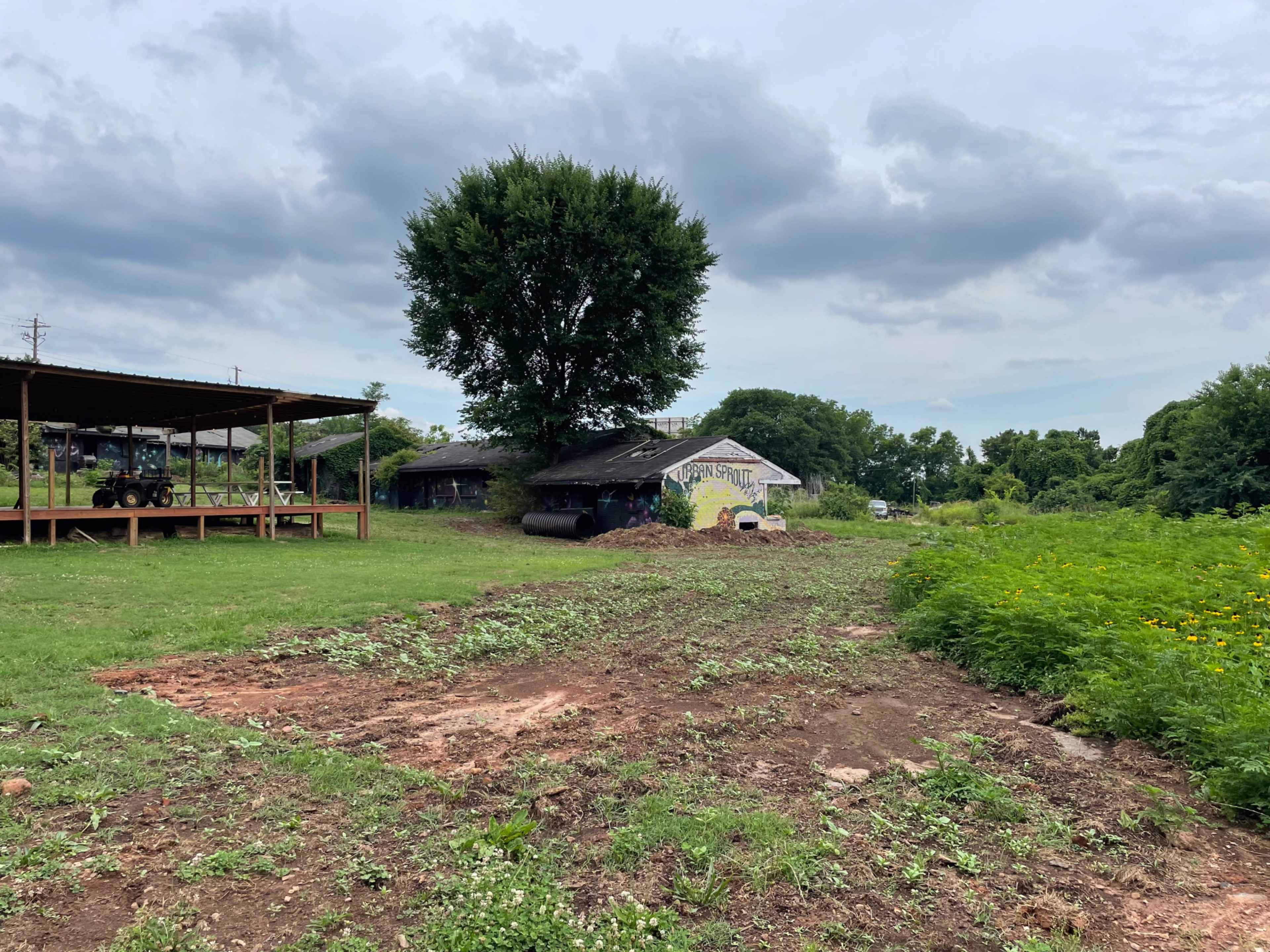A rural landscape with a large tree, a few buildings, and an area of recently cleared land.