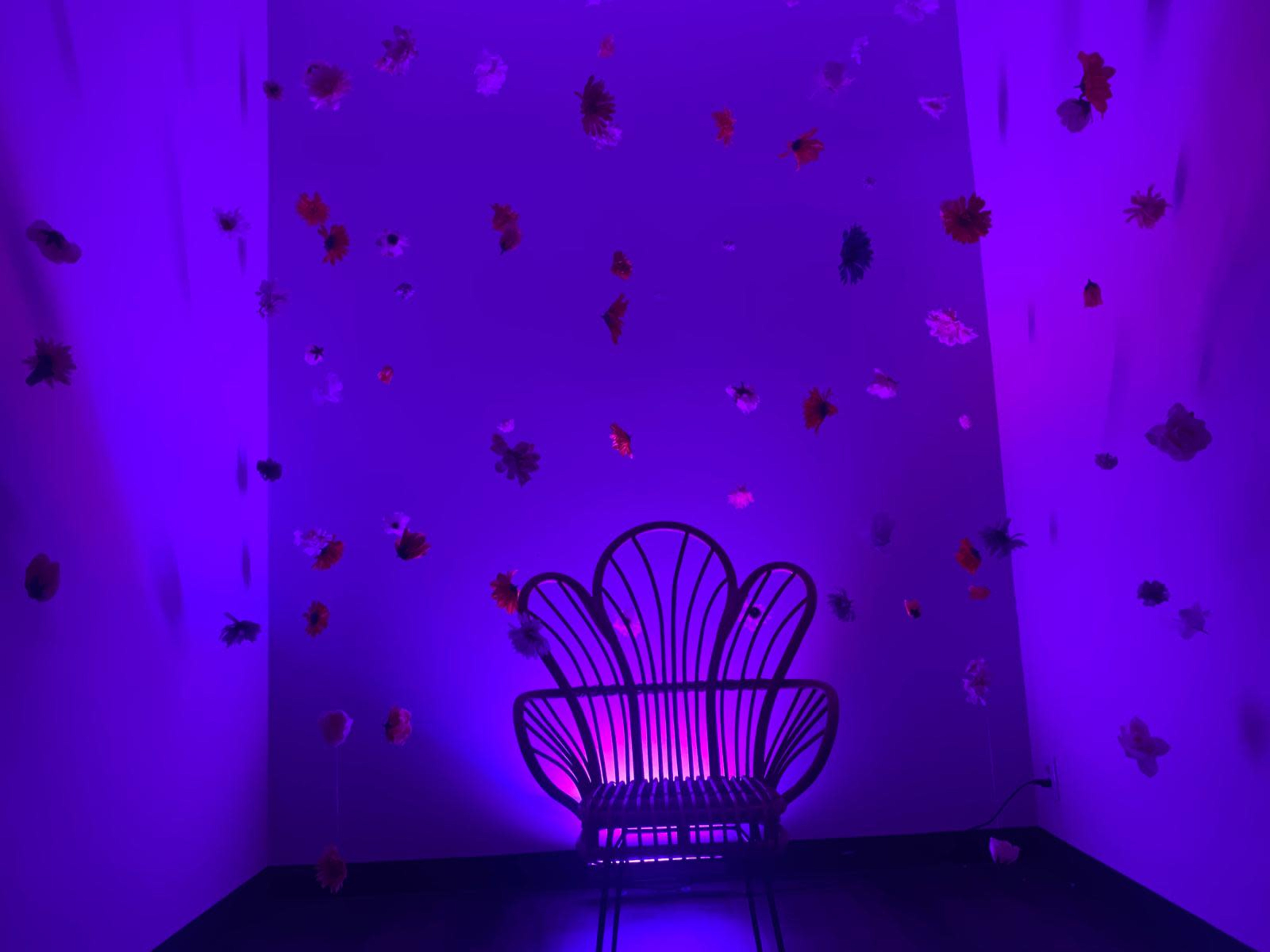 Modern, Spacious Photography or Film Set in Oak Cliff Image in Oak Cliff, Dallas, TX