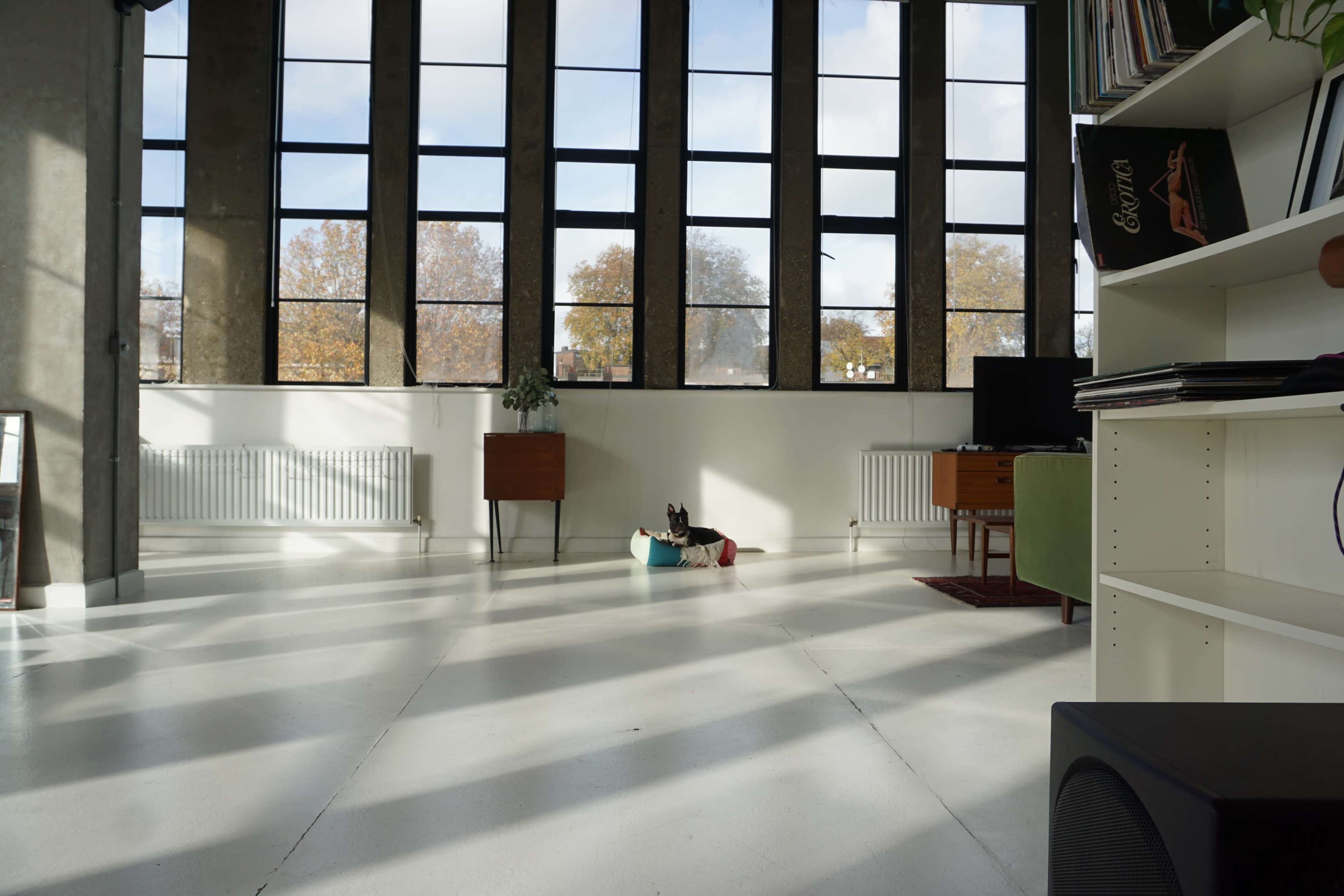 Unique daylight studio apartment Image in Clapton, London, ENG