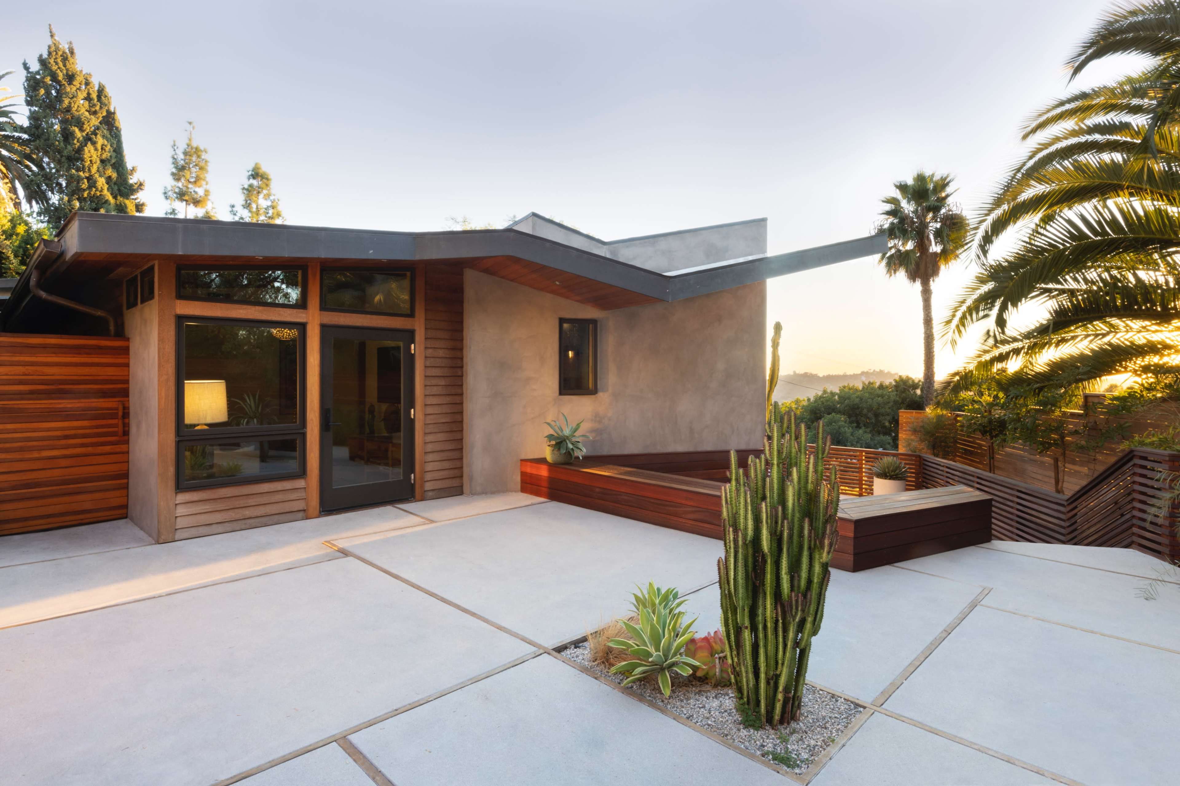 A modern single-story house features concrete pathways, large windows, and landscaped areas with plants and a cactus.