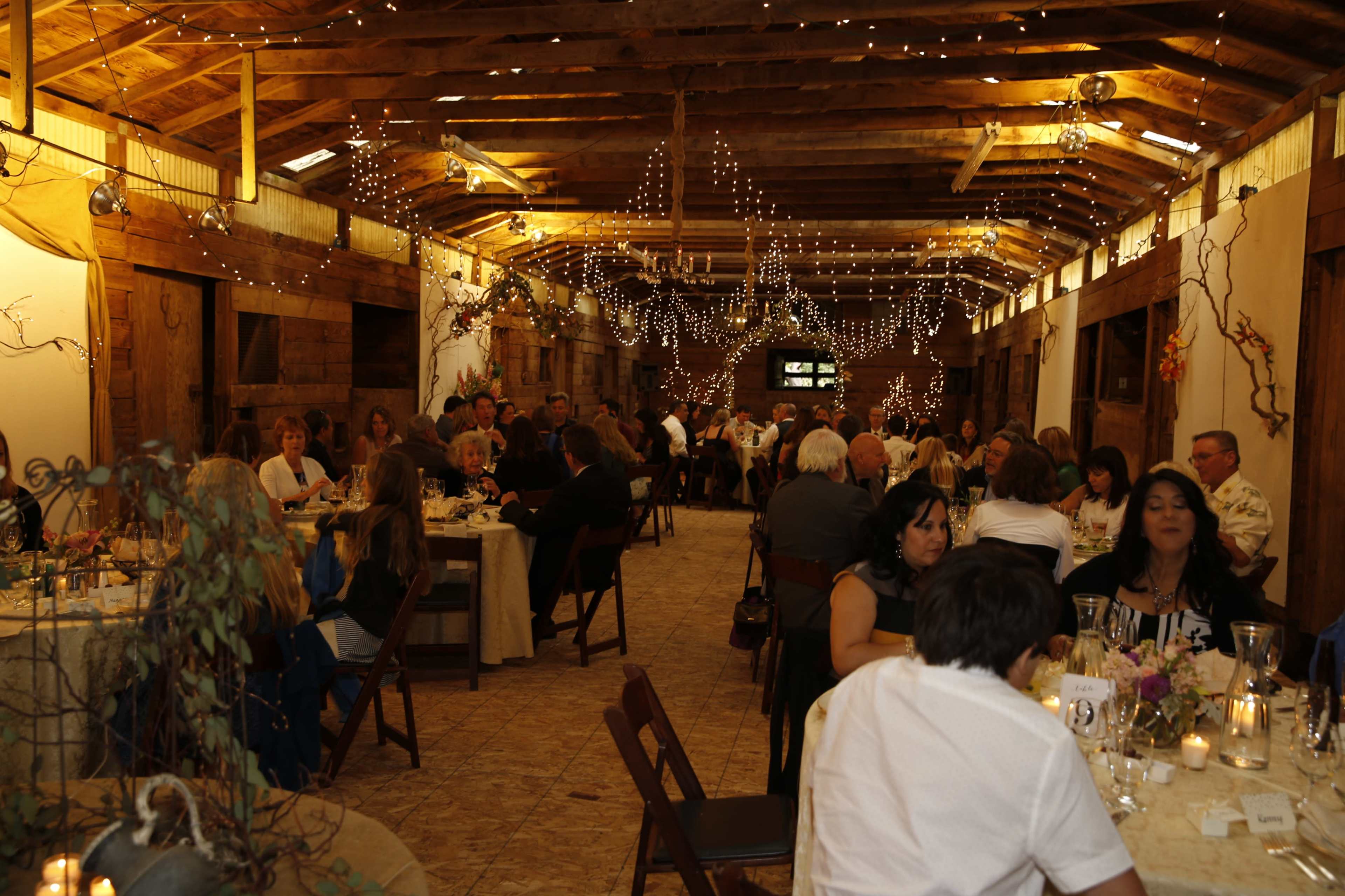 A large gathering of people sits at elegantly set tables in a rustic wooden barn, decorated with string lights and dark branches.
