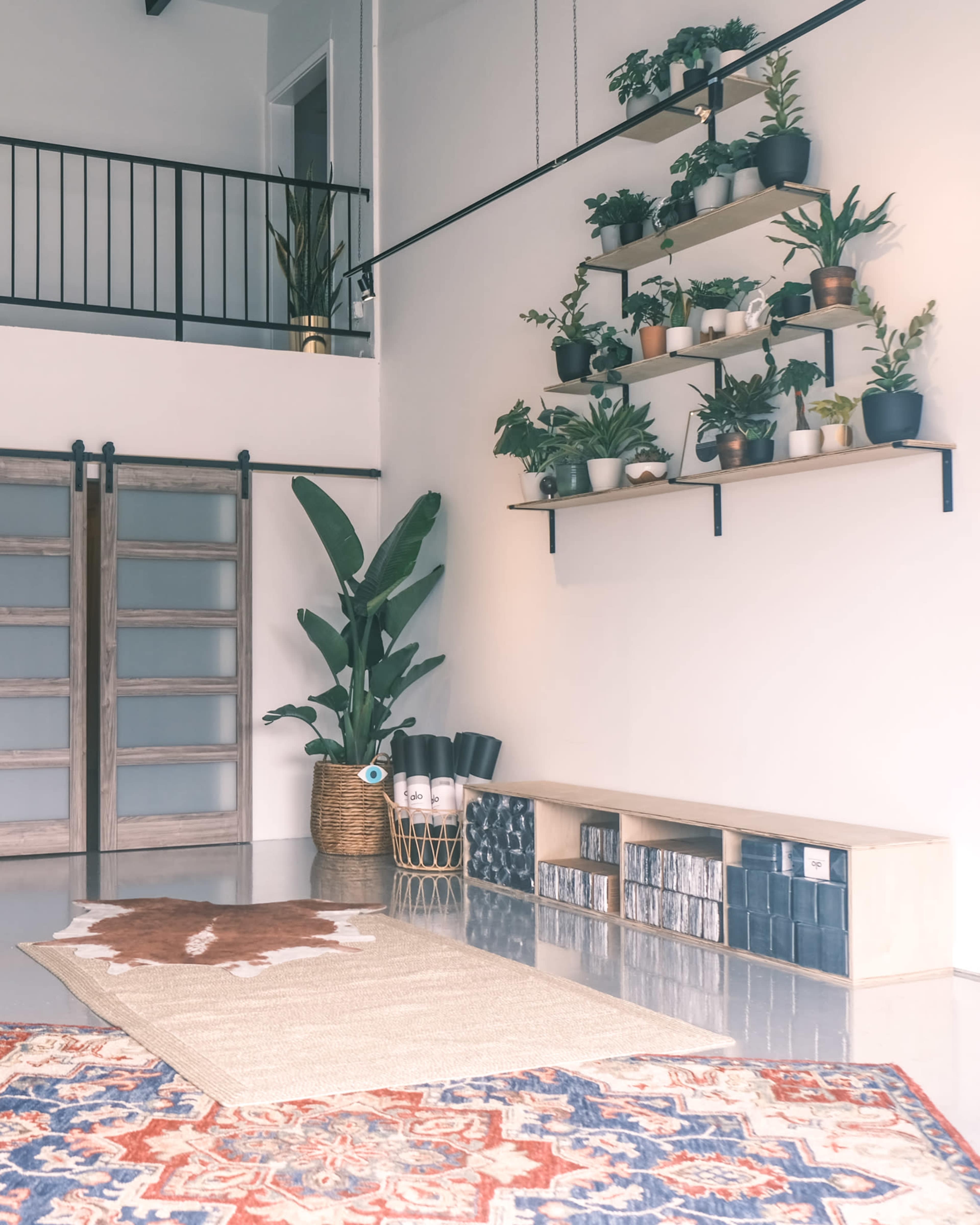 A modern room featuring a wall shelf with potted plants, a wooden bench, and a patterned rug on a polished floor.