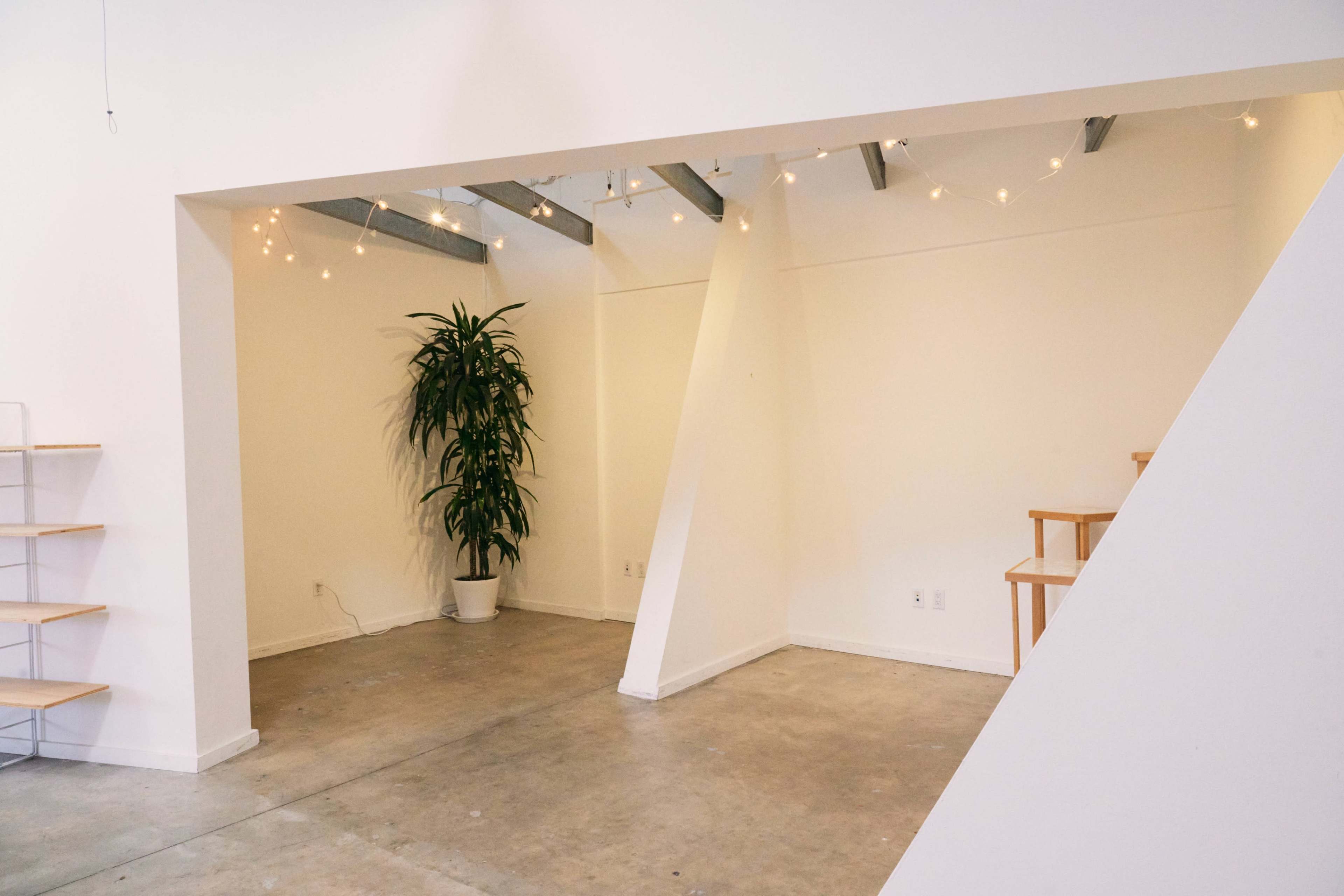 A minimalist interior space with a potted plant, a staircase, and string lights hanging from the ceiling.