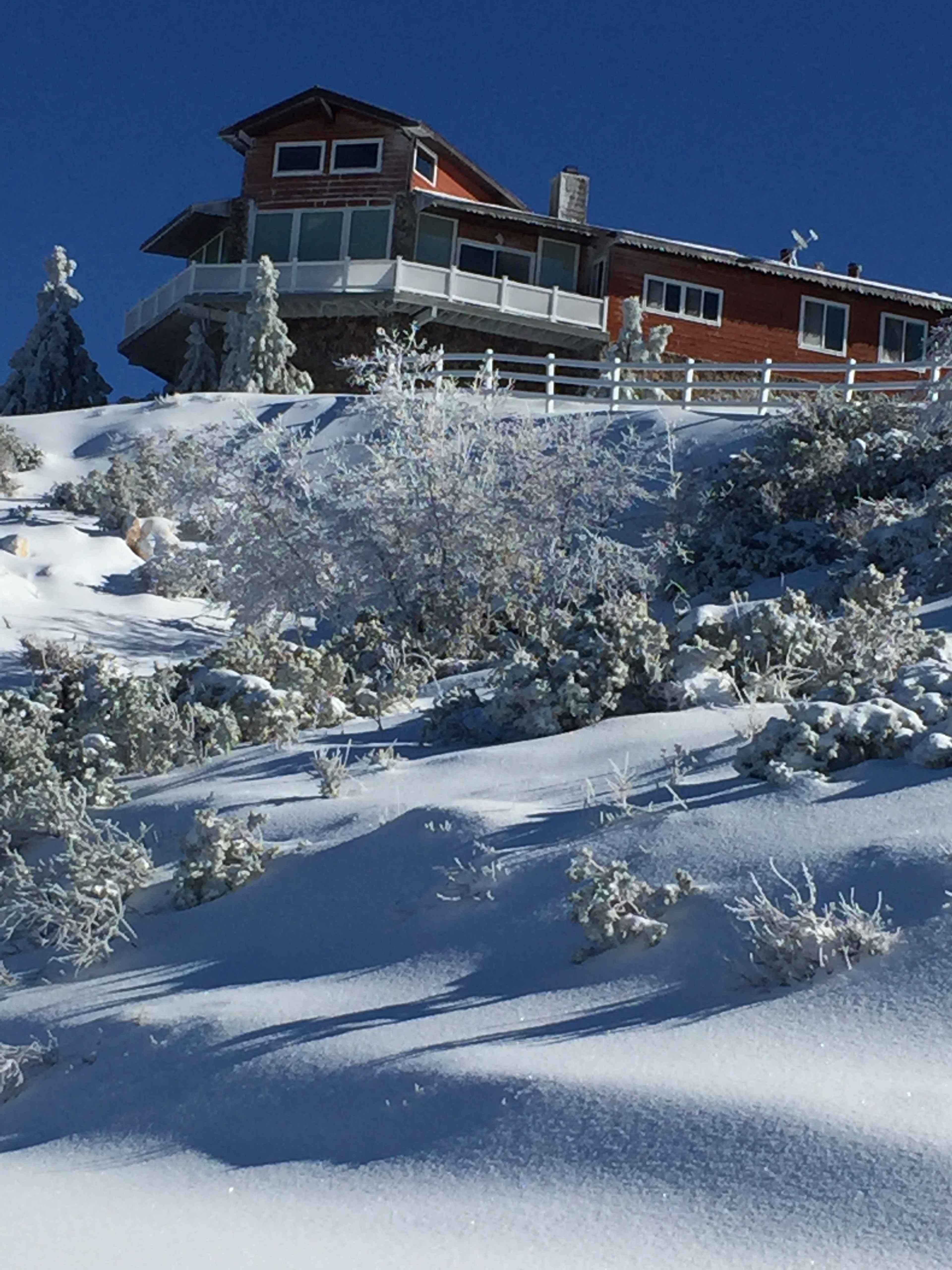 A large house sits on a snow-covered hillside surrounded by frosty trees and shrubs under a clear blue sky.