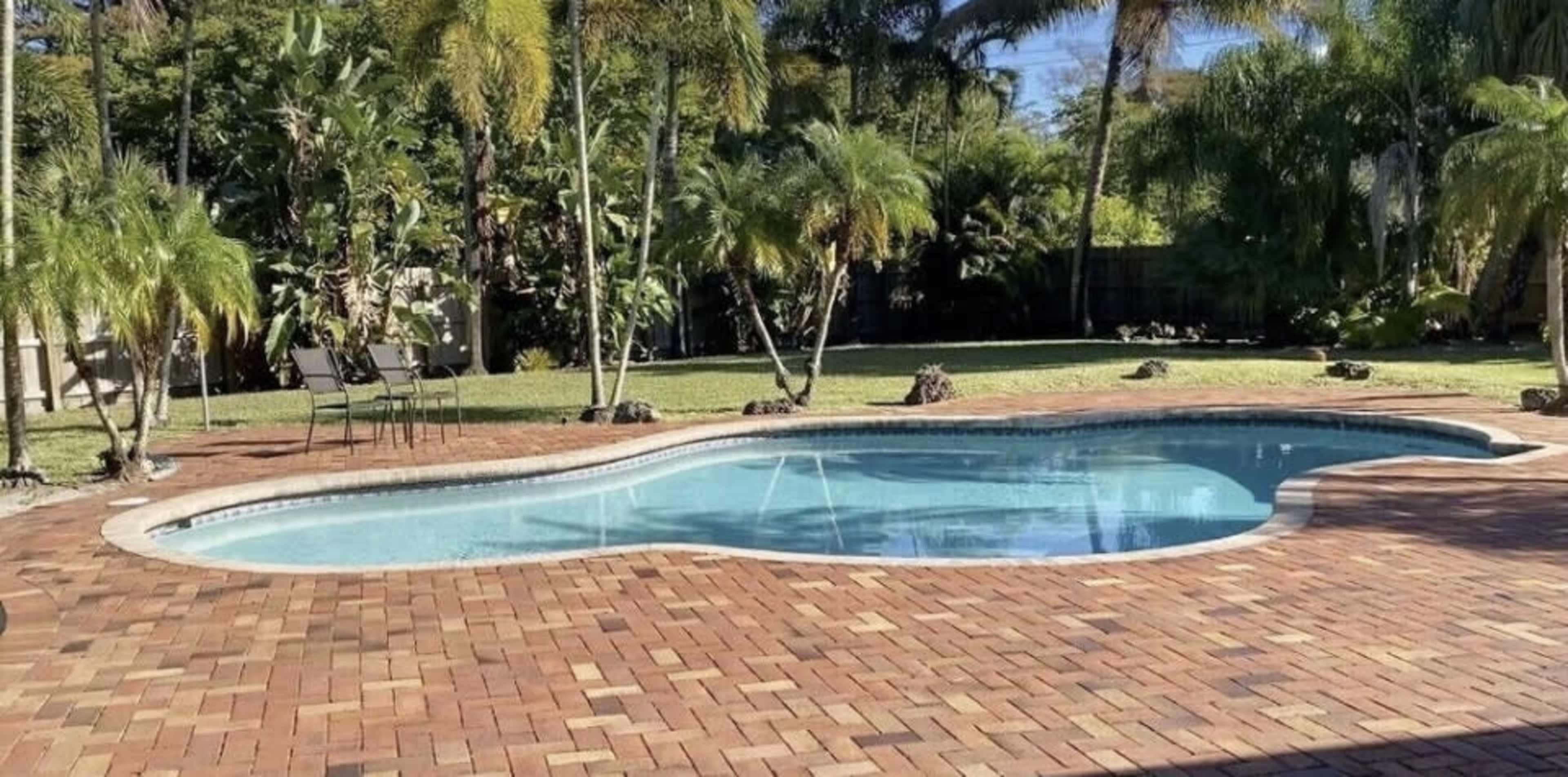 A swimming pool surrounded by a paved patio and palm trees in a grassy yard.