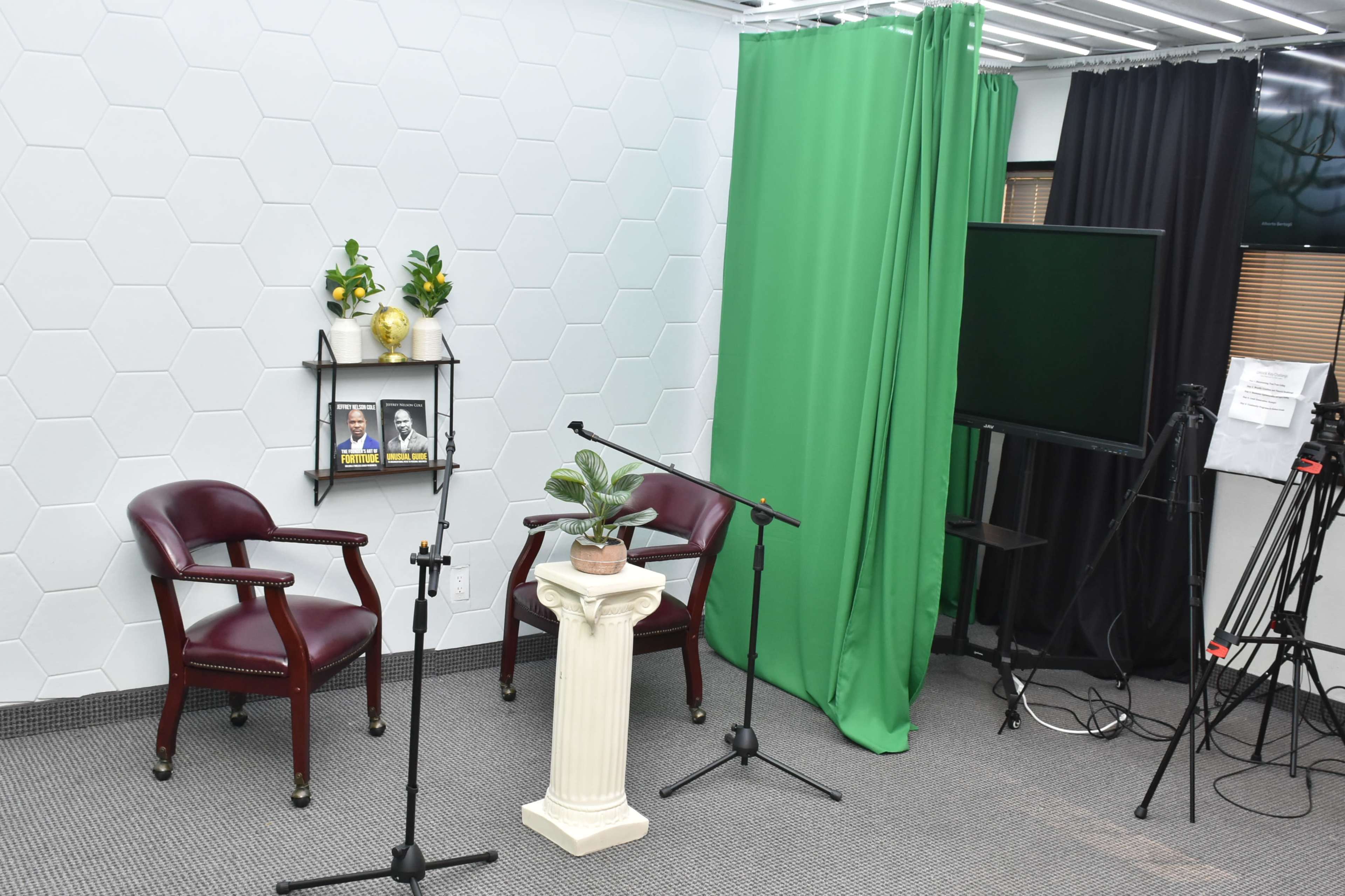 The image shows a small studio setup with two chairs, a microphone stand, a potted plant on a pedestal, and green and black backdrops.
