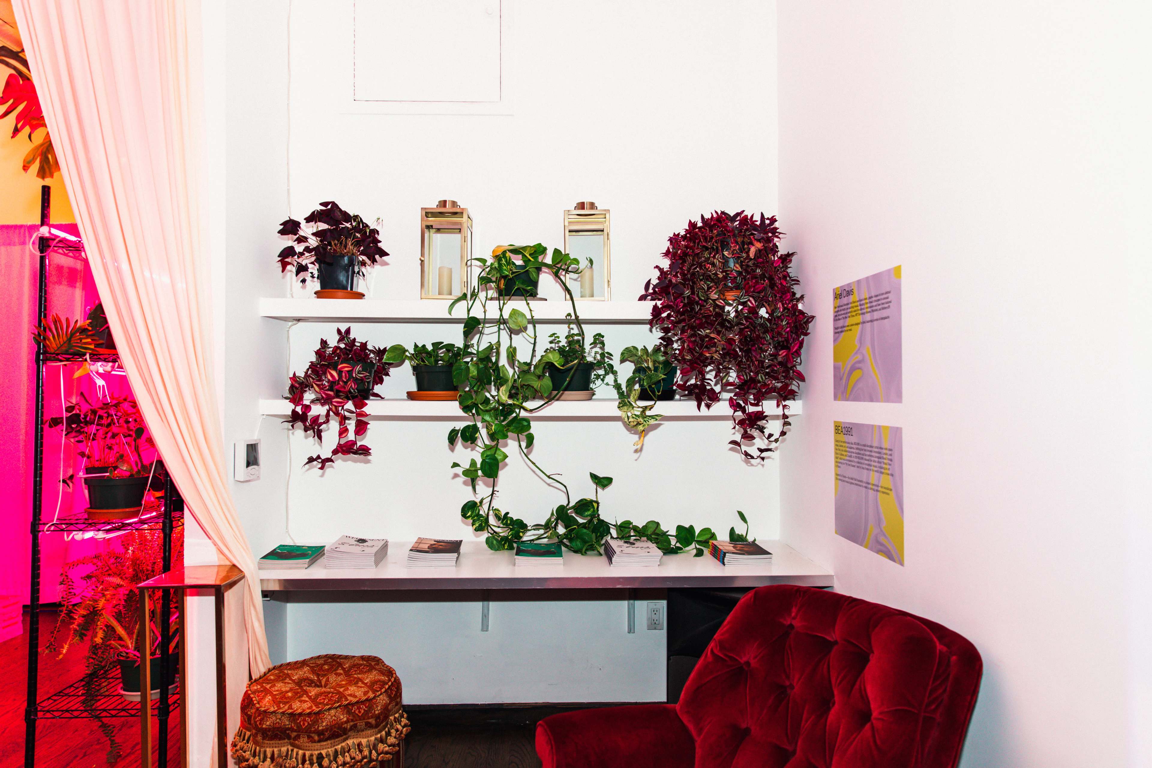 A cozy corner features a shelf with various plants, a small table with magazines, and a red velvet chair.