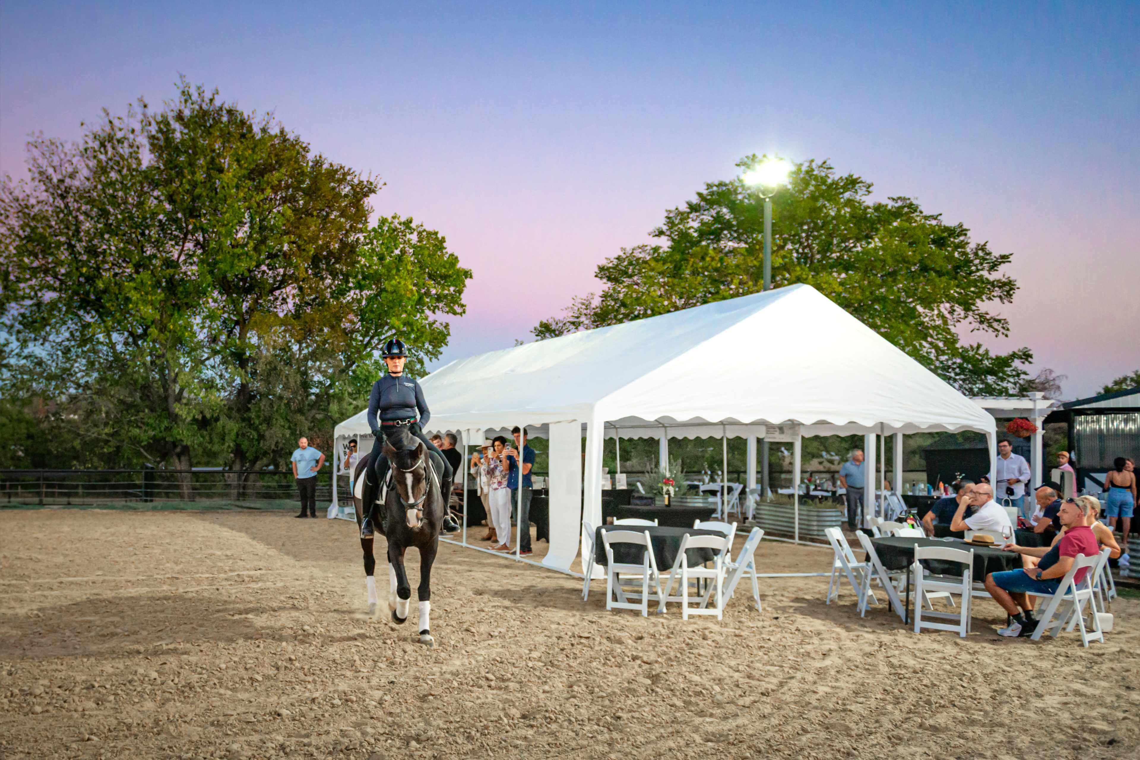 Charming Horse Ranch Oasis with stunning view and peaceful vibes Image in , Princeton, TX