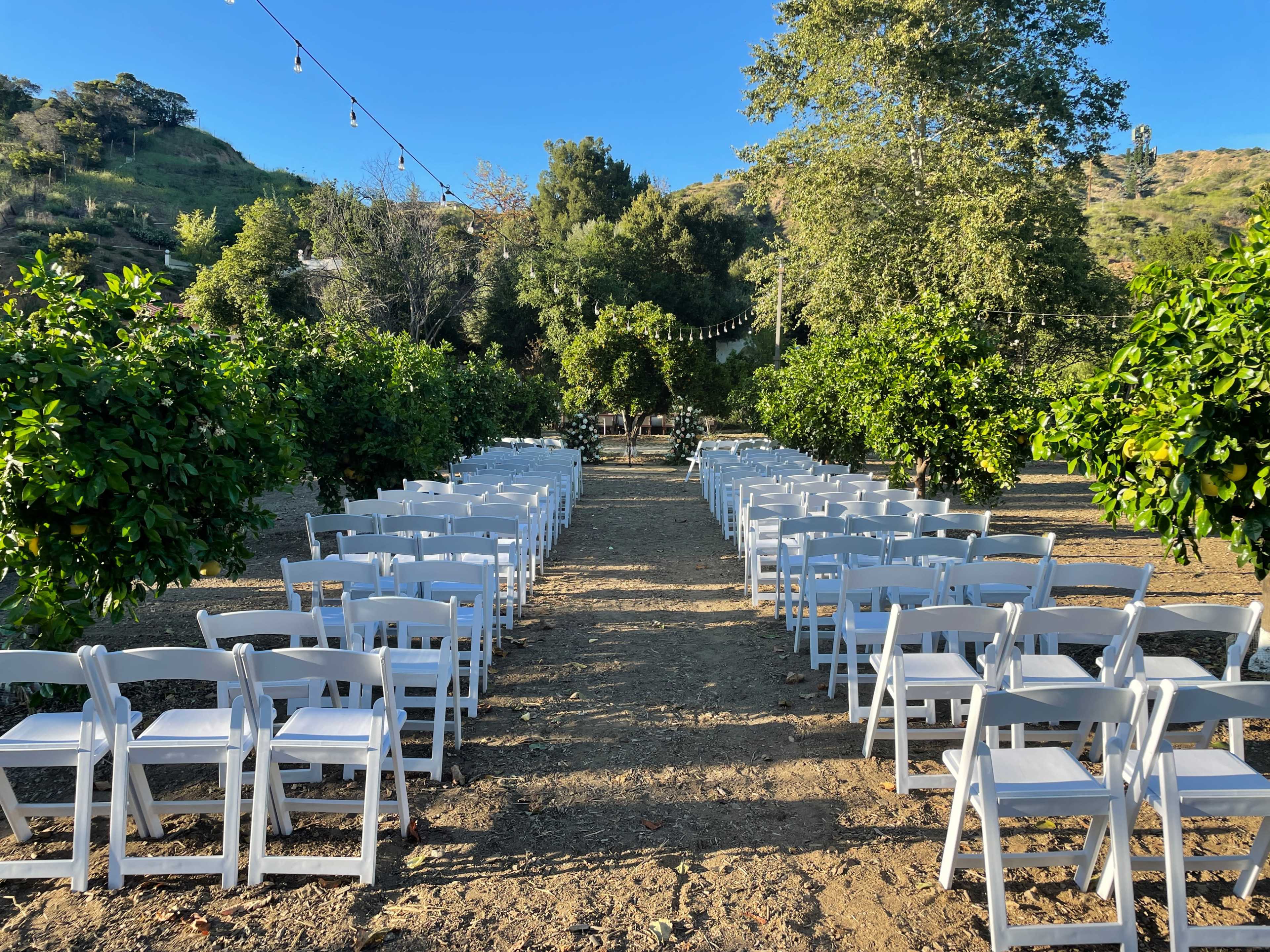 Outdoor Wedding Venue Citrus Grove Ceremony~ Outdoor Grass