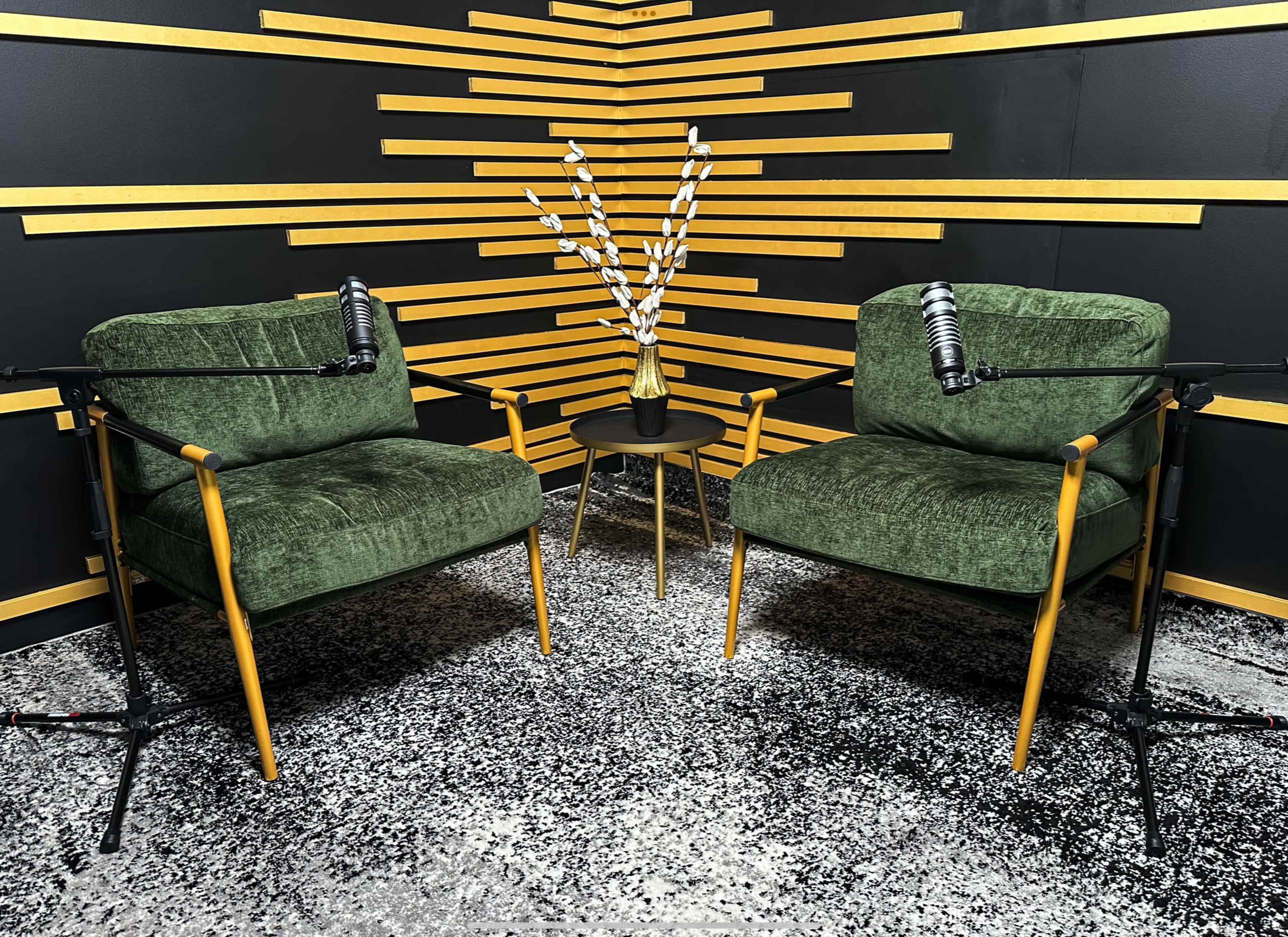 Professional Podcast Recording studio Image in Iowa Colony, Rosharon, TX