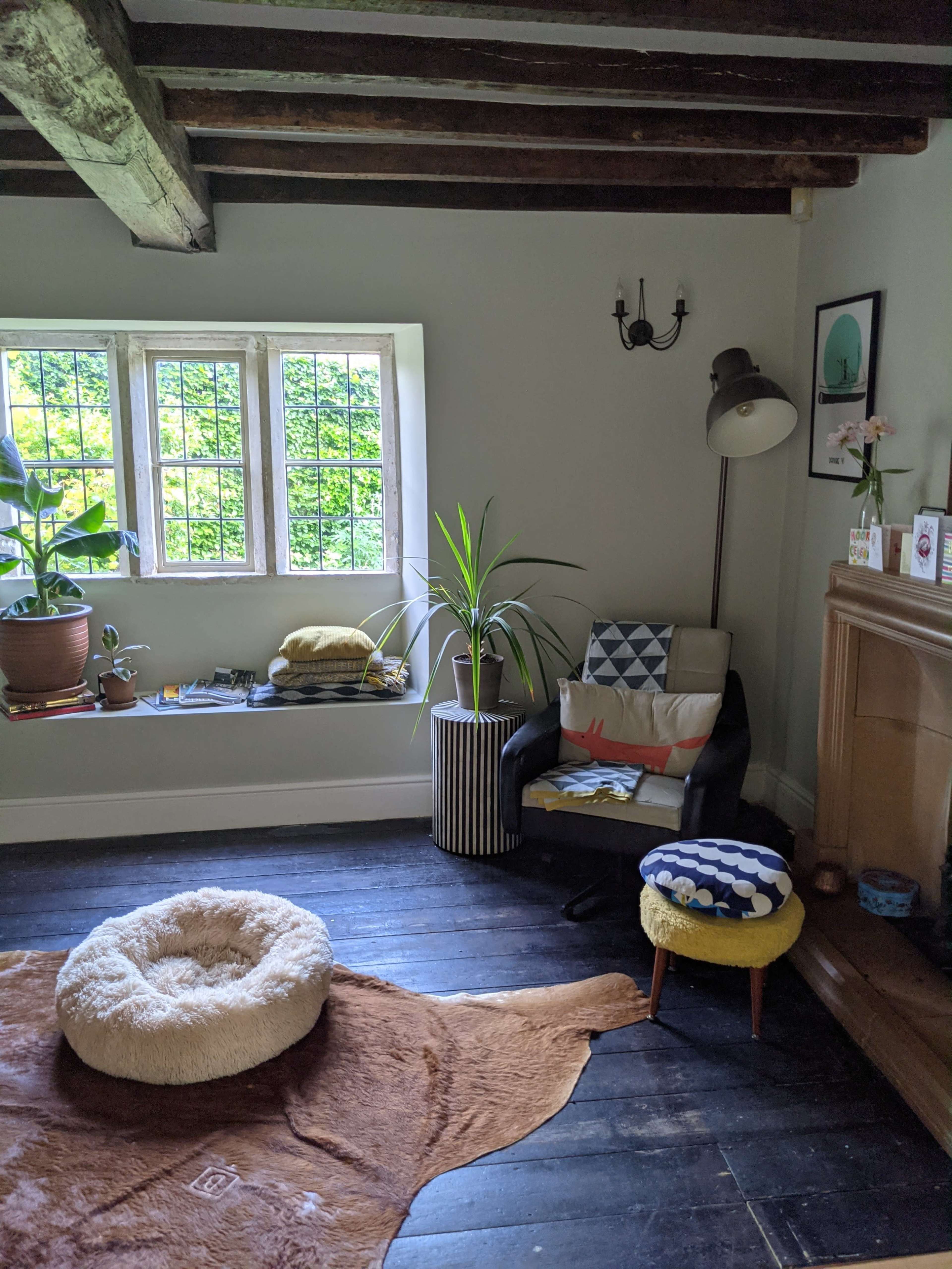 A cozy living room with a dark wooden floor, a black armchair, a round beige pet bed, a small stool, and a large window with greenery outside.