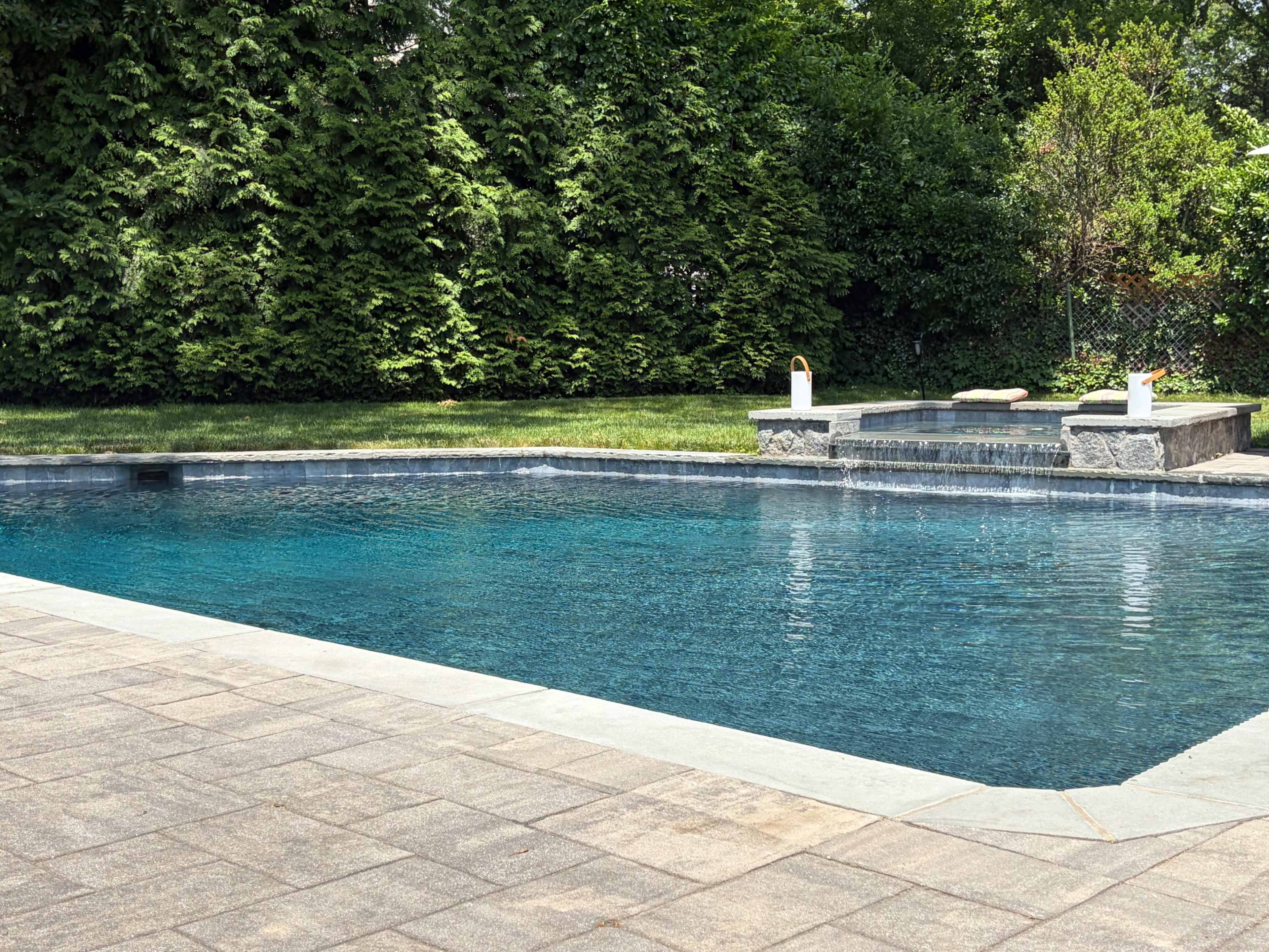 The image shows a swimming pool surrounded by a stone deck, with a landscaped area featuring dense greenery in the background.