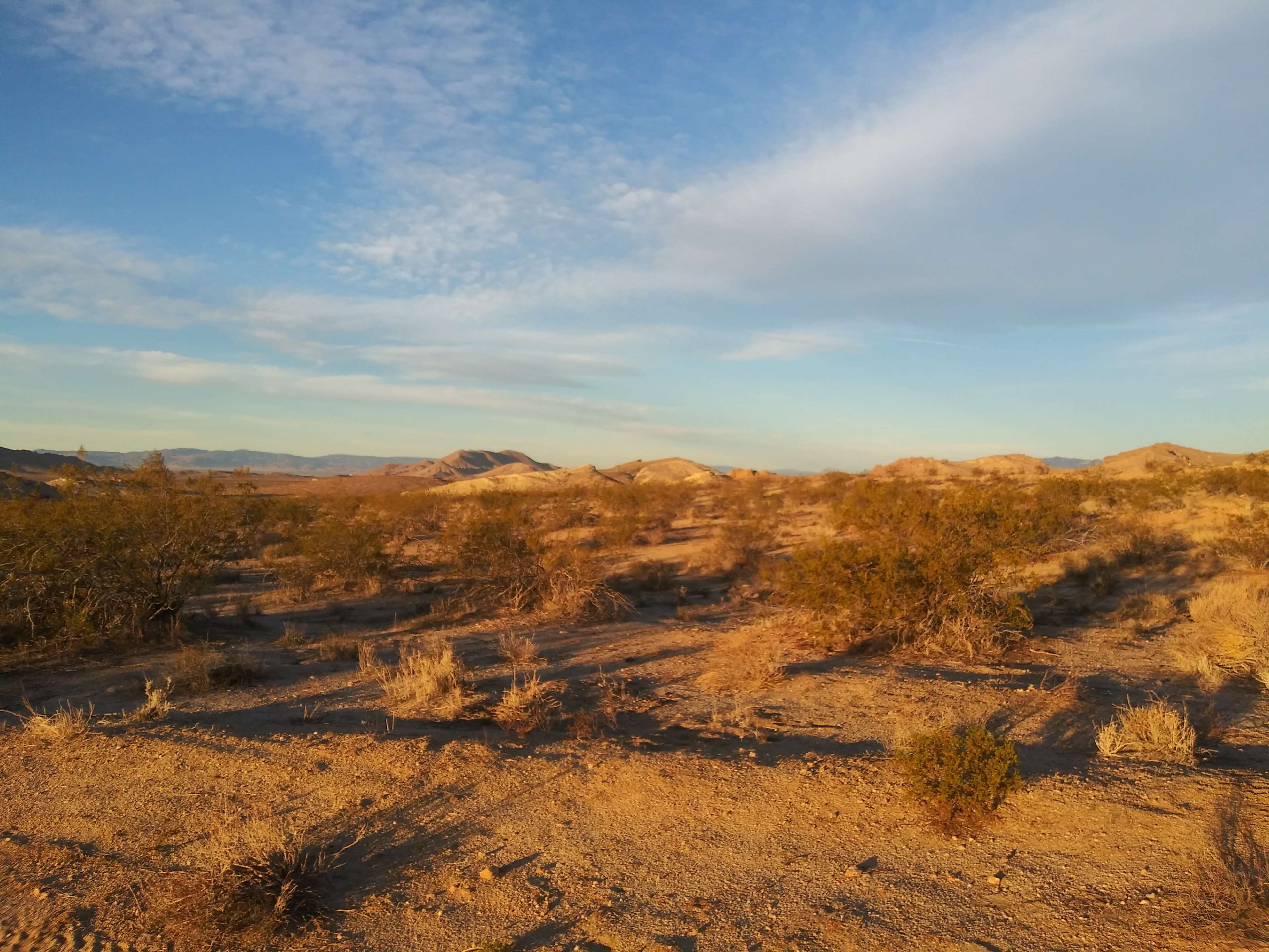 A barren desert landscape with low shrubs and distant mountains under a blue sky.