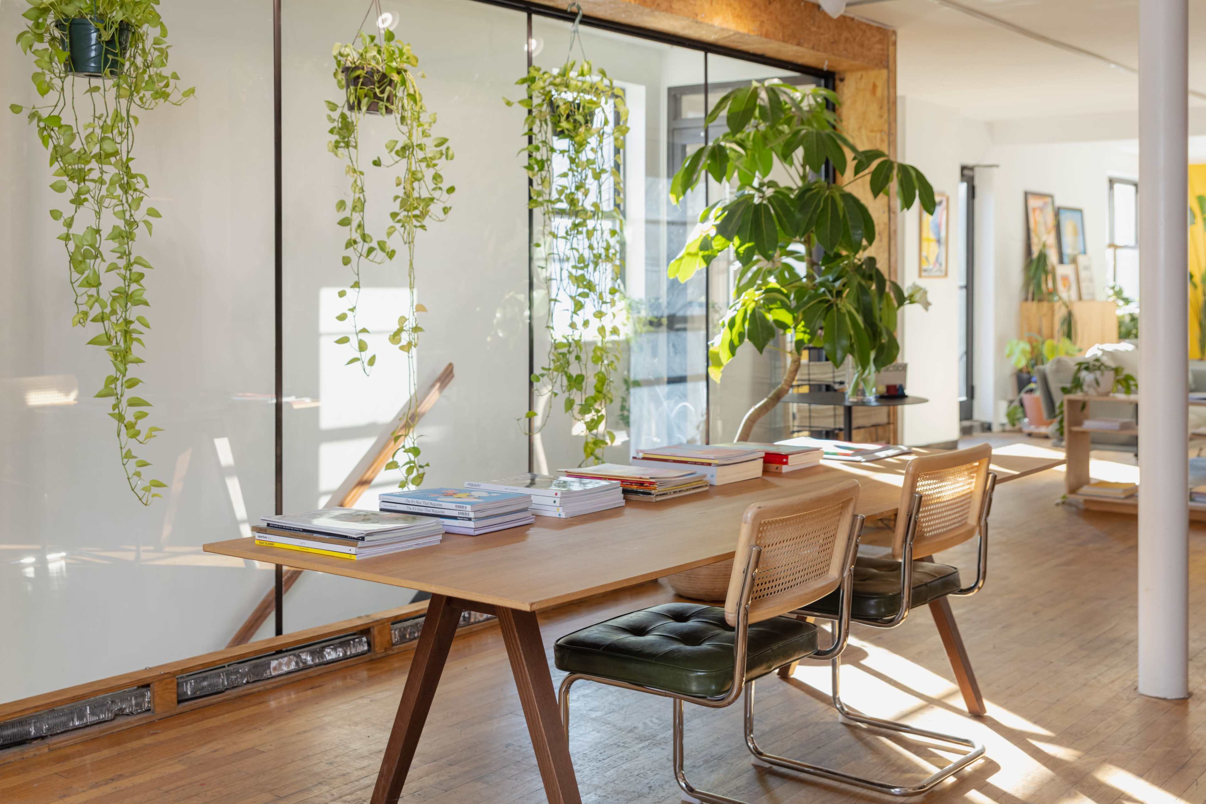 A wooden table with books and stationery is positioned in a well-lit office space adorned with hanging plants and large windows.