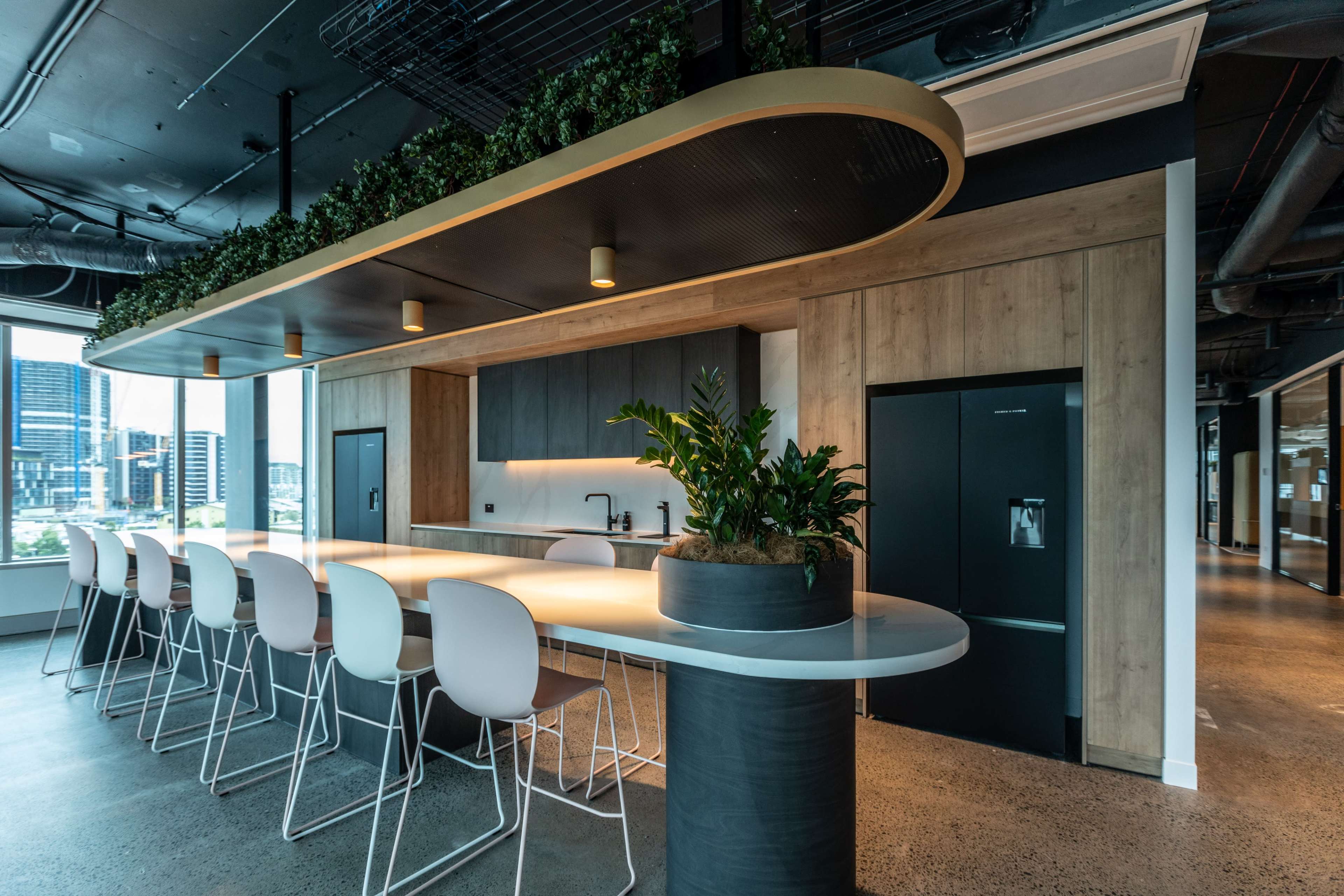 A modern office kitchen area with a long counter, bar stools, and plants overhead, alongside a refrigerator and cabinetry.