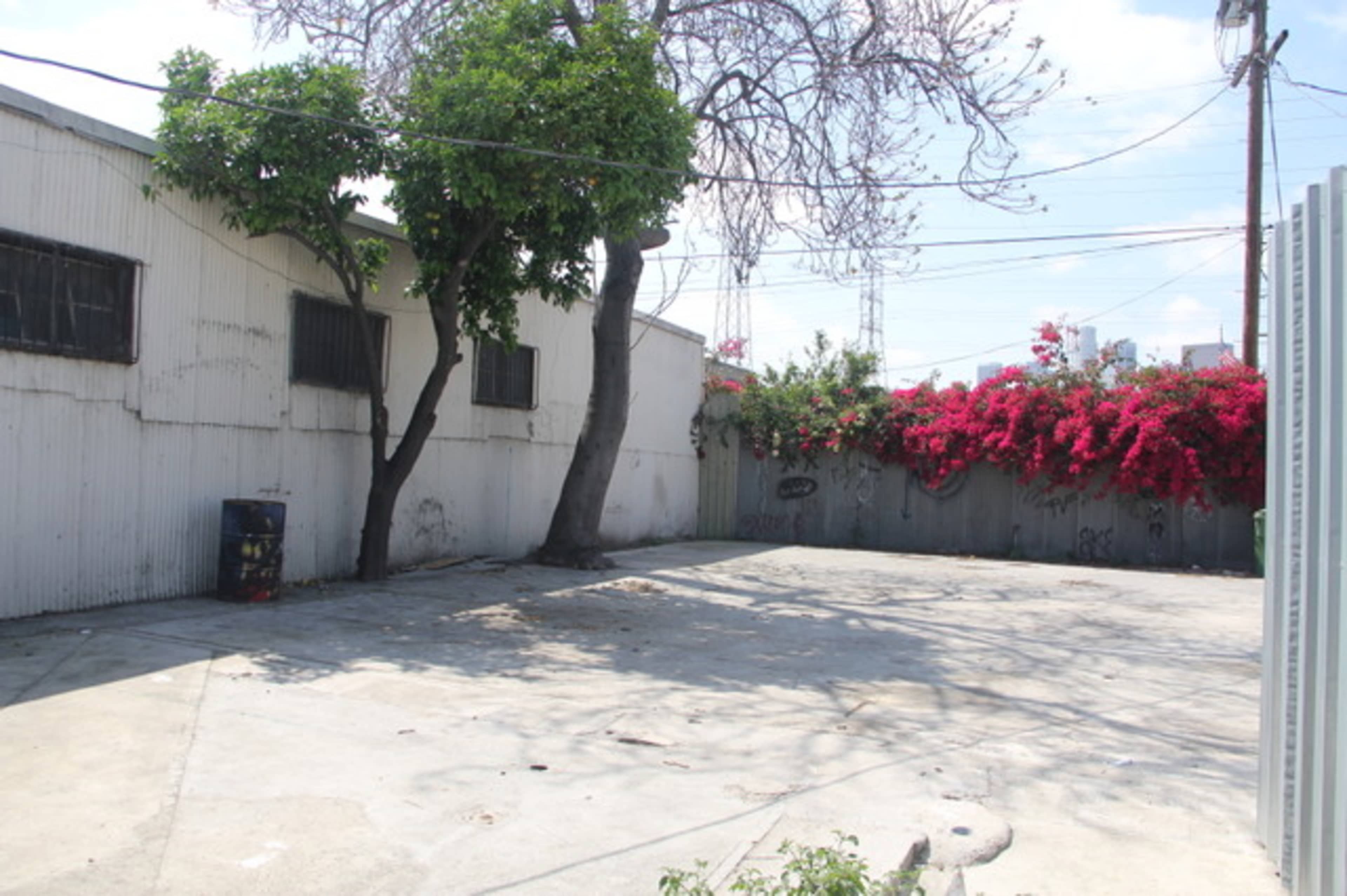 A vacant concrete lot with a low wall covered in flowering plants, alongside a building and a couple of trees.