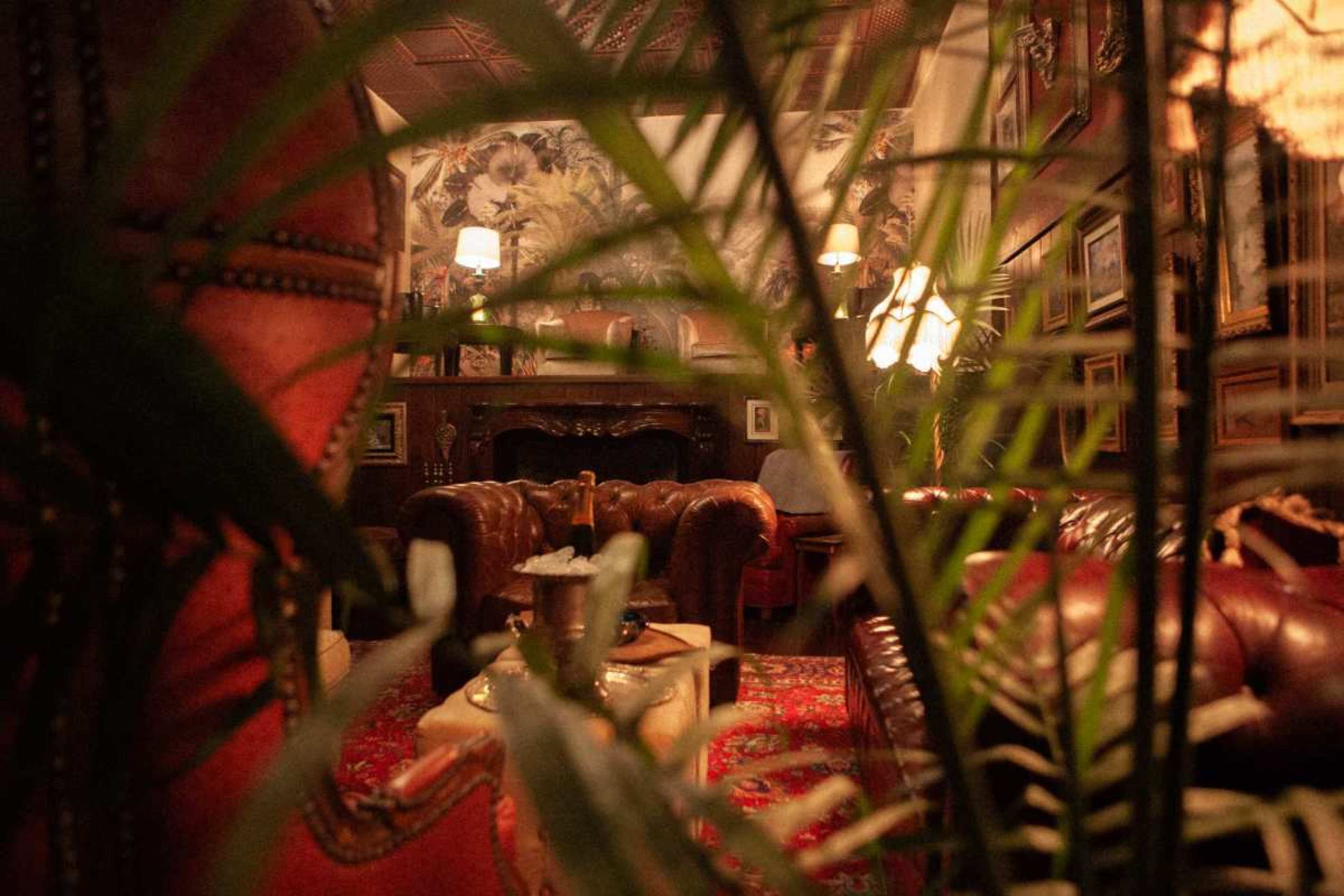A cozy lounge area features leather sofas, a decorative rug, and framed artwork, with plants partially obscuring the view.