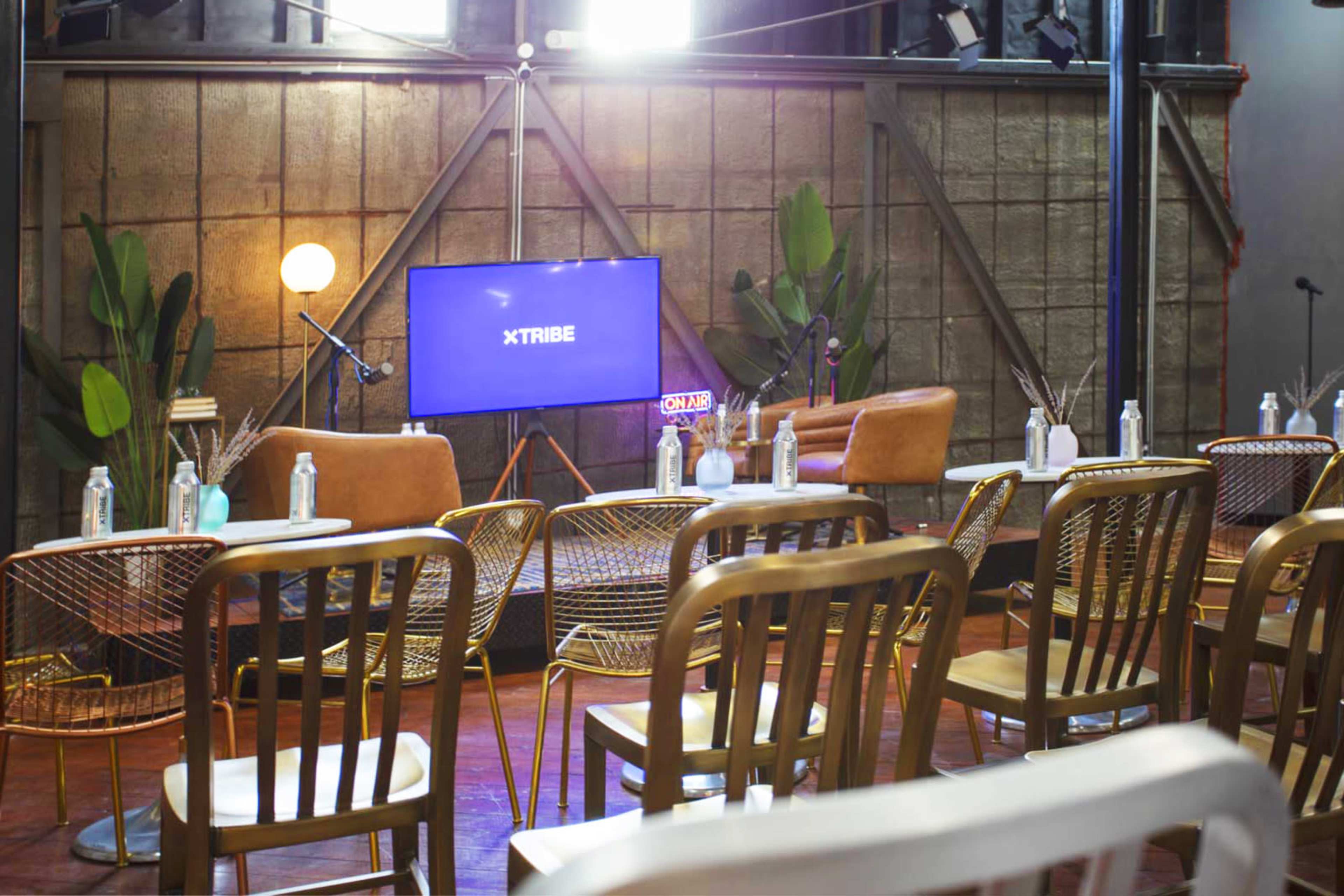 A modern event space with wooden chairs arranged facing a screen displaying "XTRIBE," flanked by potted plants and cozy seating.