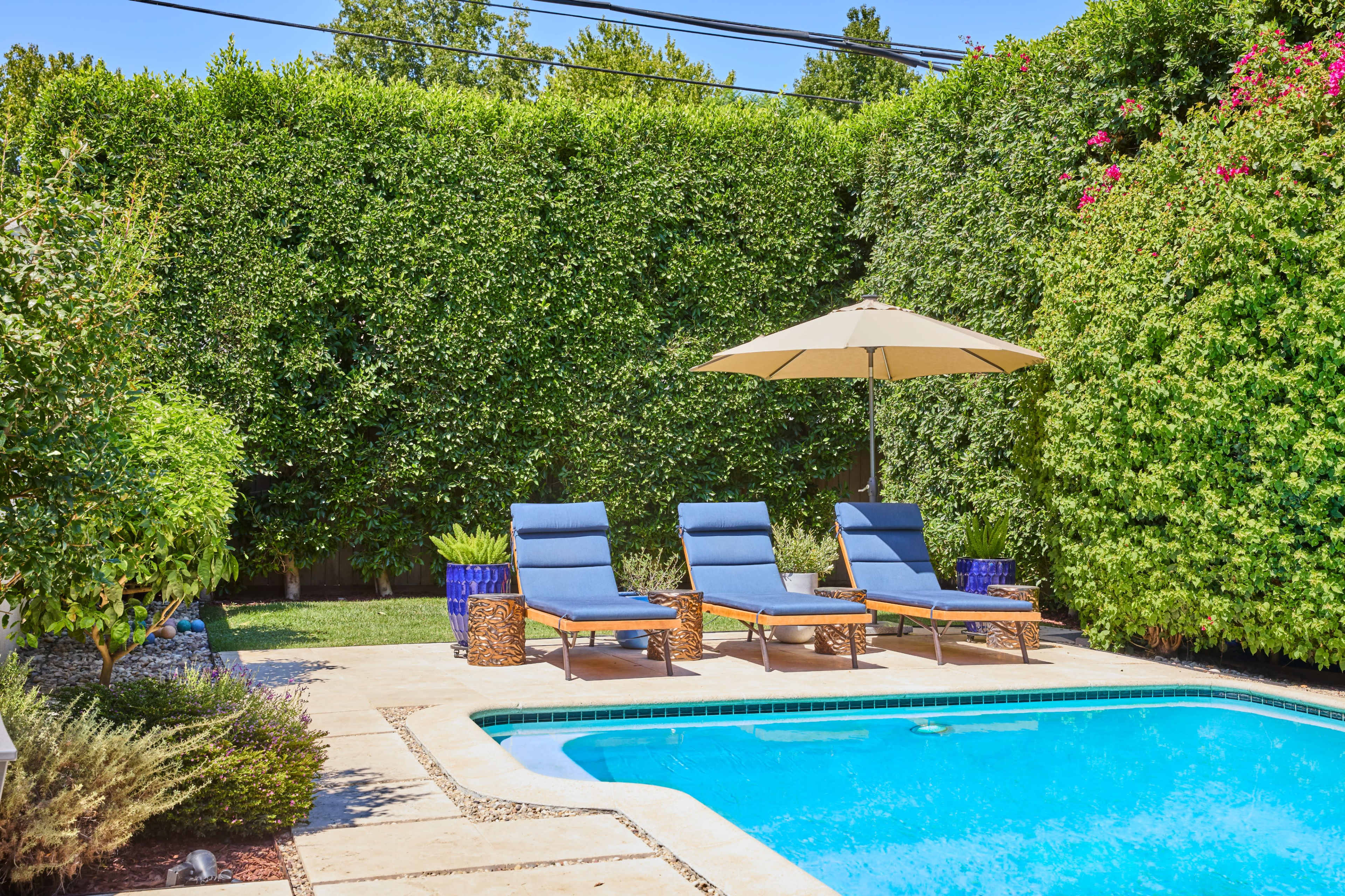 The image shows a swimming pool surrounded by greenery, with three lounge chairs and a large umbrella positioned nearby.