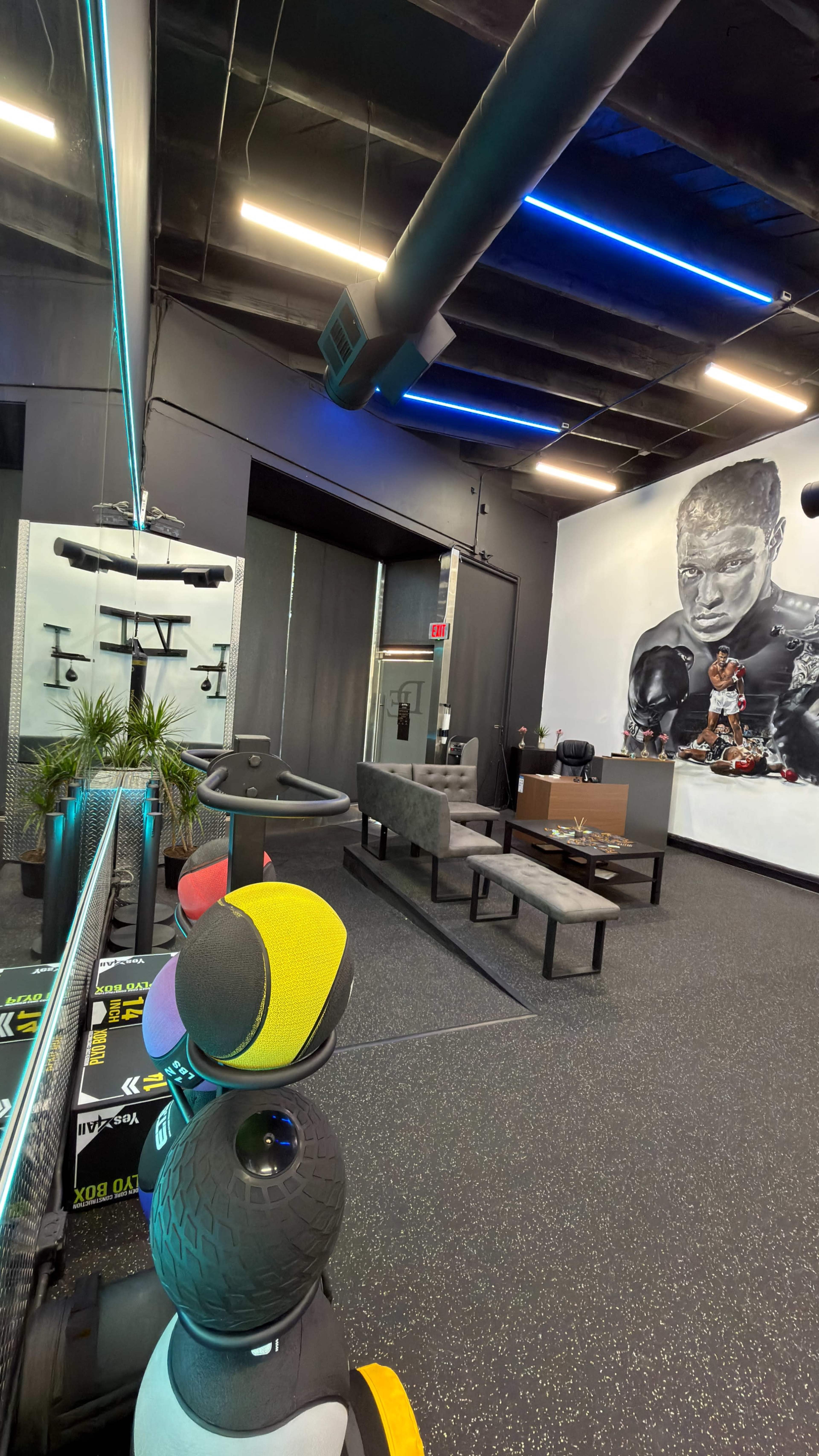 The image shows a modern fitness facility featuring exercise equipment and a striking mural of a boxer on the wall.