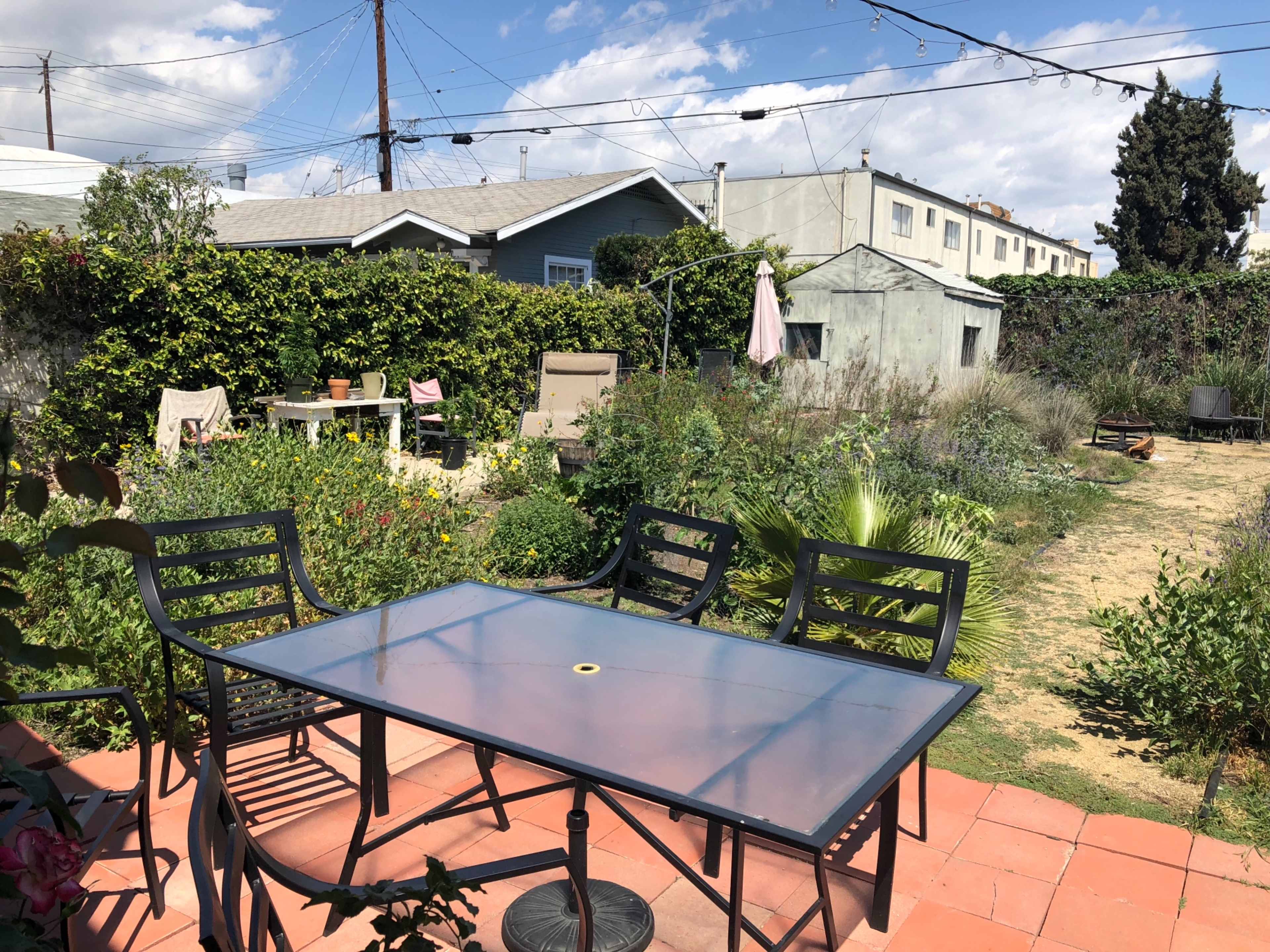 A patio area with a glass table and black chairs overlooks a garden filled with various plants and flowers, surrounded by houses and power lines.