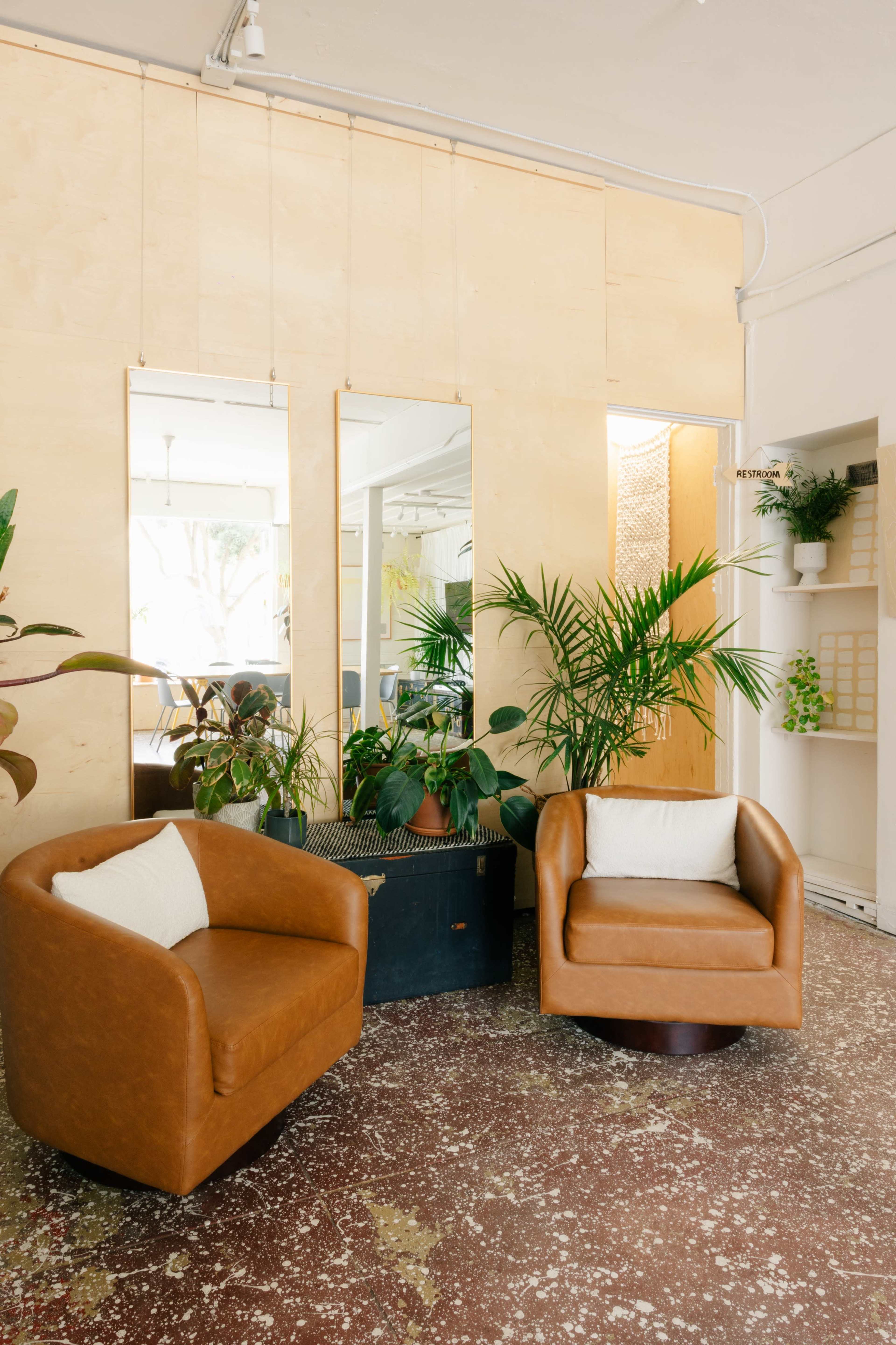The image shows a bright room with two brown upholstered chairs facing plants and a wall featuring mirrors and wooden paneling.