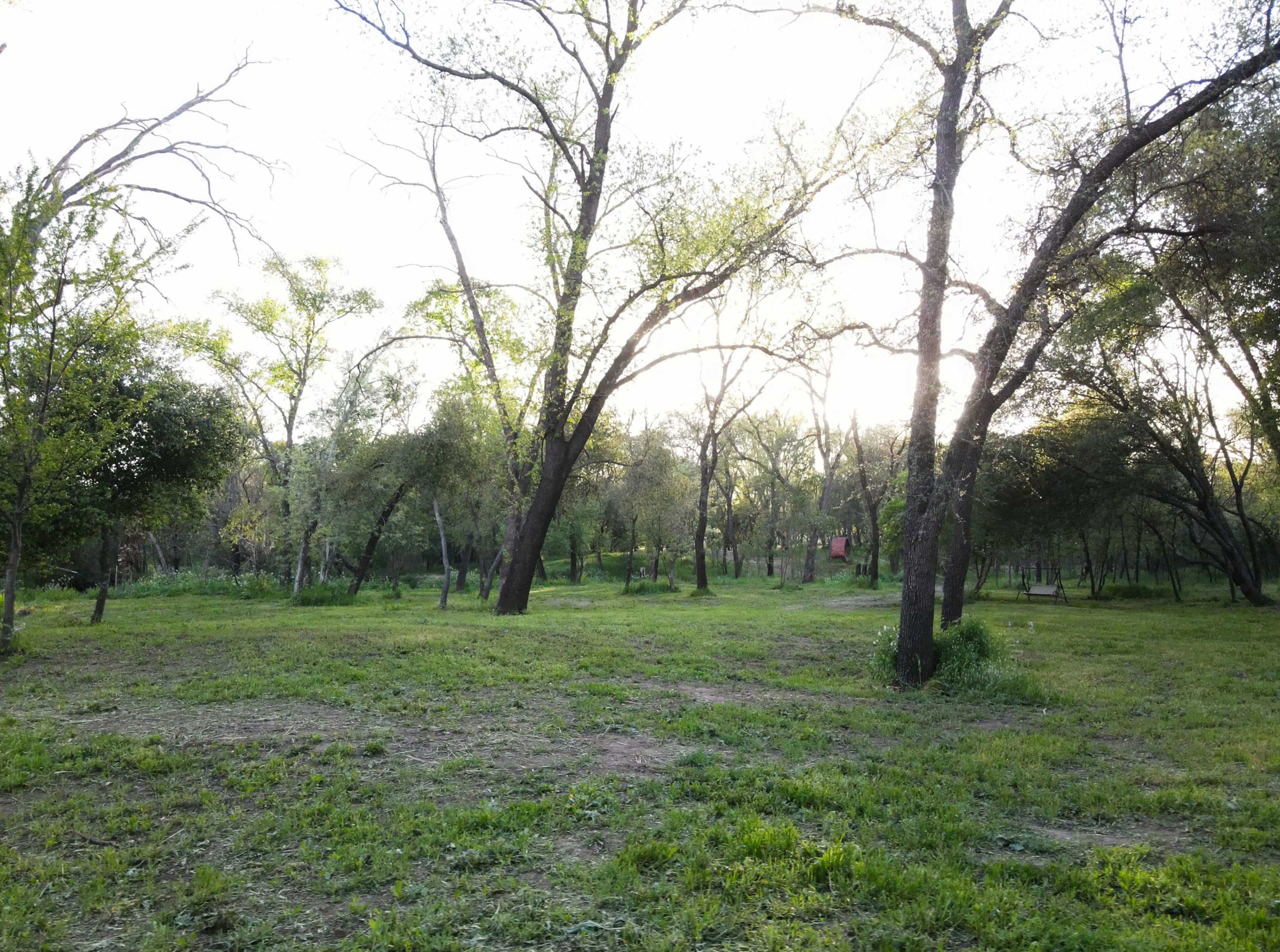 Private Forest in the middle of the city! Image in Citrus Heights, Citrus Heights, CA