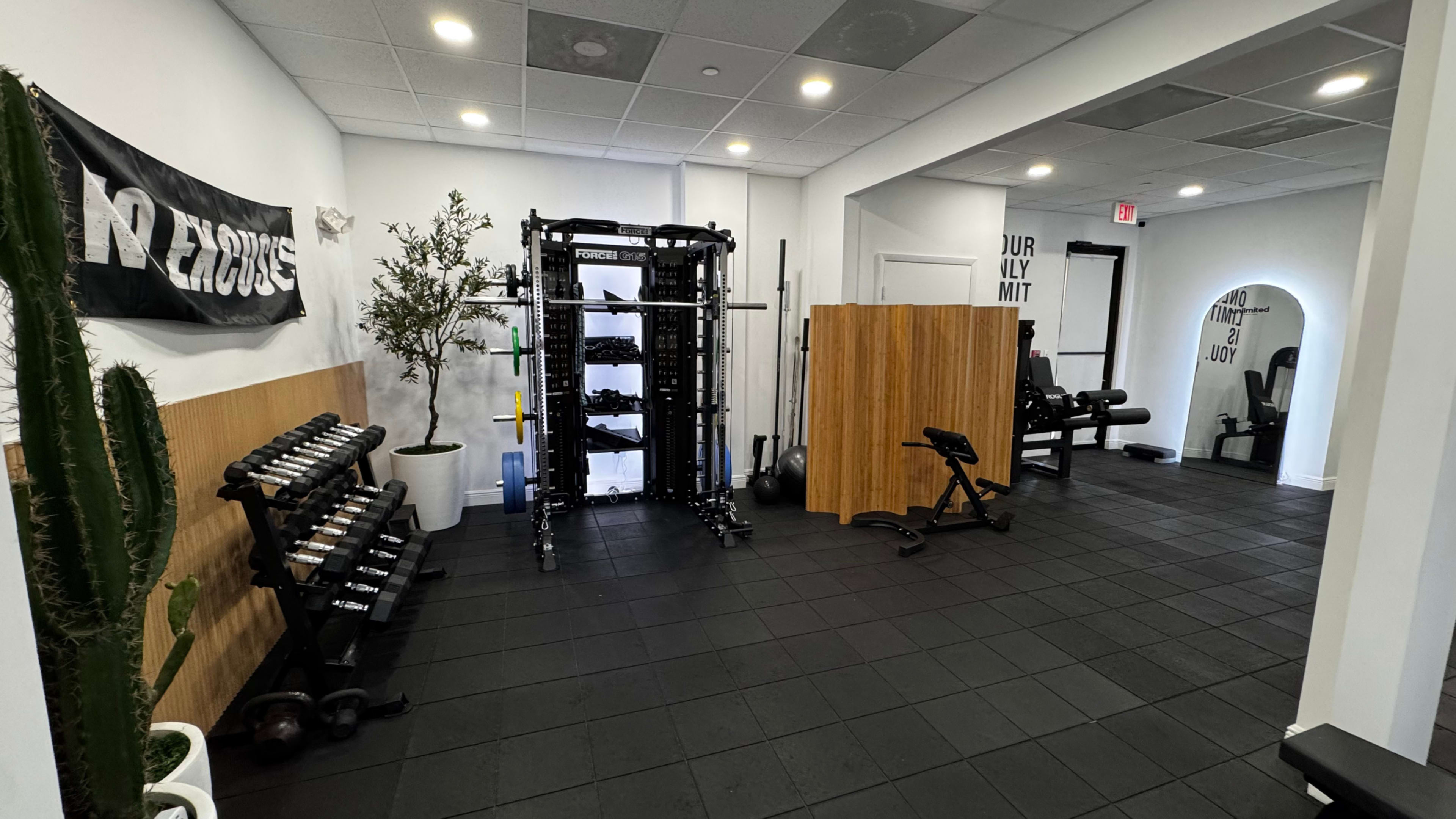 The image shows a modern gym interior featuring exercise equipment, dumbbells, a cable machine, and a few fitness-related decor items.