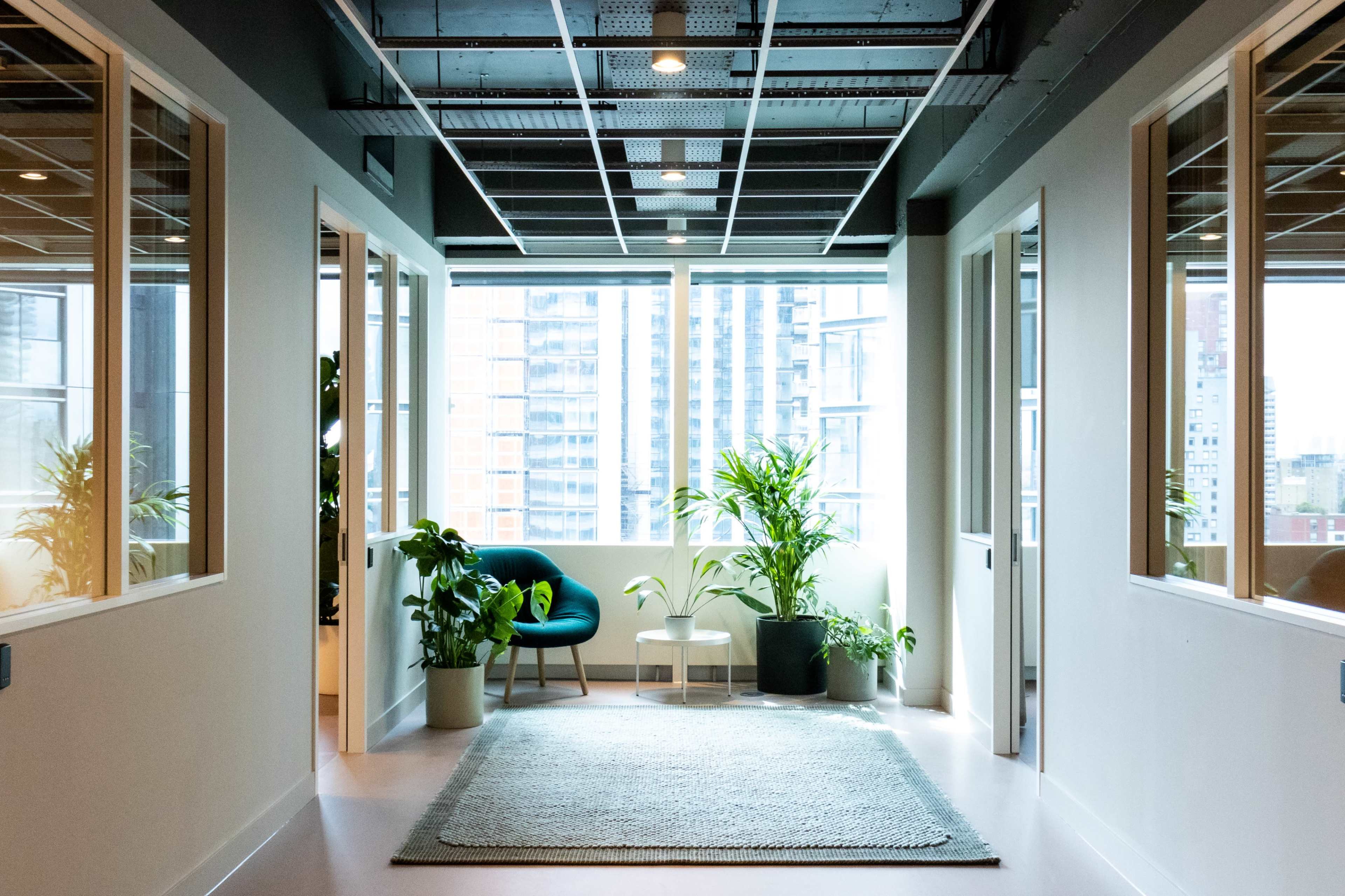 A hallway with large windows, featuring potted plants and a blue chair, connects several office spaces.