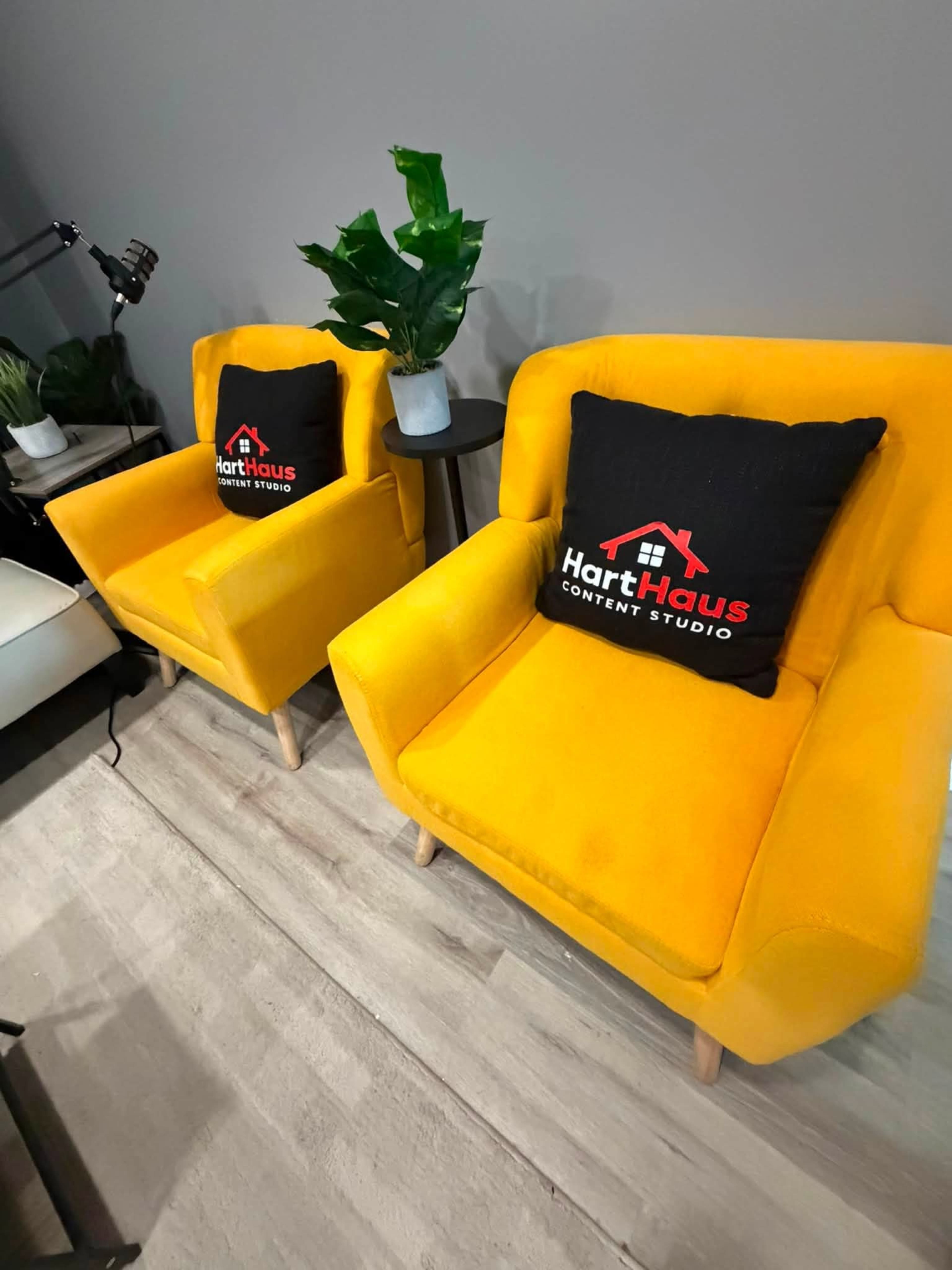 Two yellow armchairs with black pillows featuring the logo "HartHaus Content Studio" are positioned next to a small table and a potted plant.