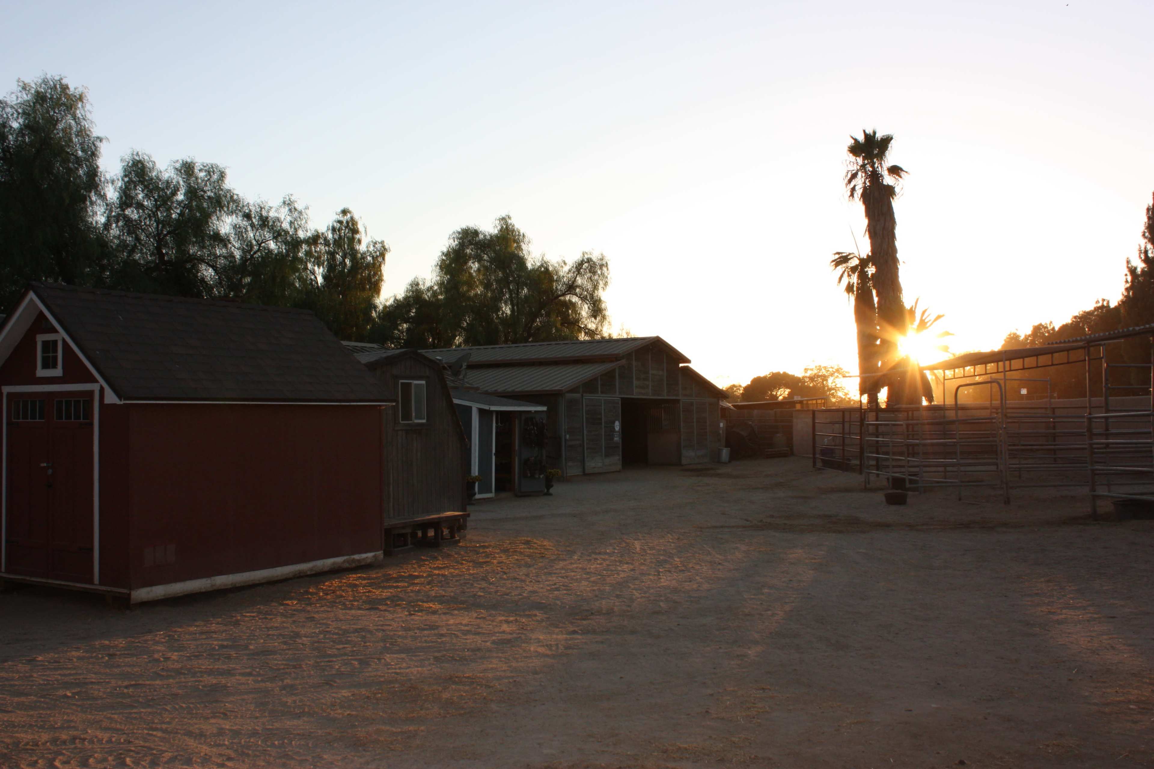 Horse Ranch with old barn and large open space. Image in Lake View Terrace, Sunland, CA