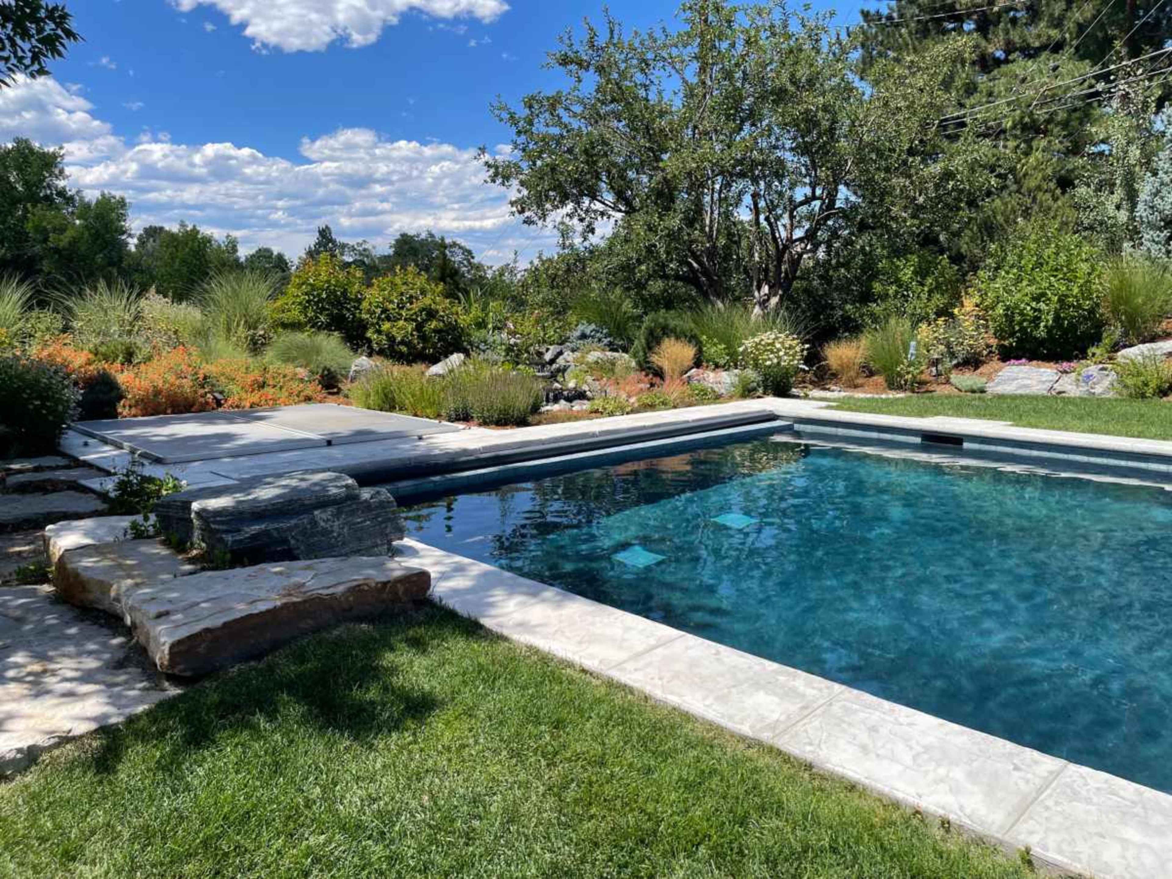 A clear swimming pool surrounded by lush greenery, colorful flowers, and a stone pathway under a bright blue sky.