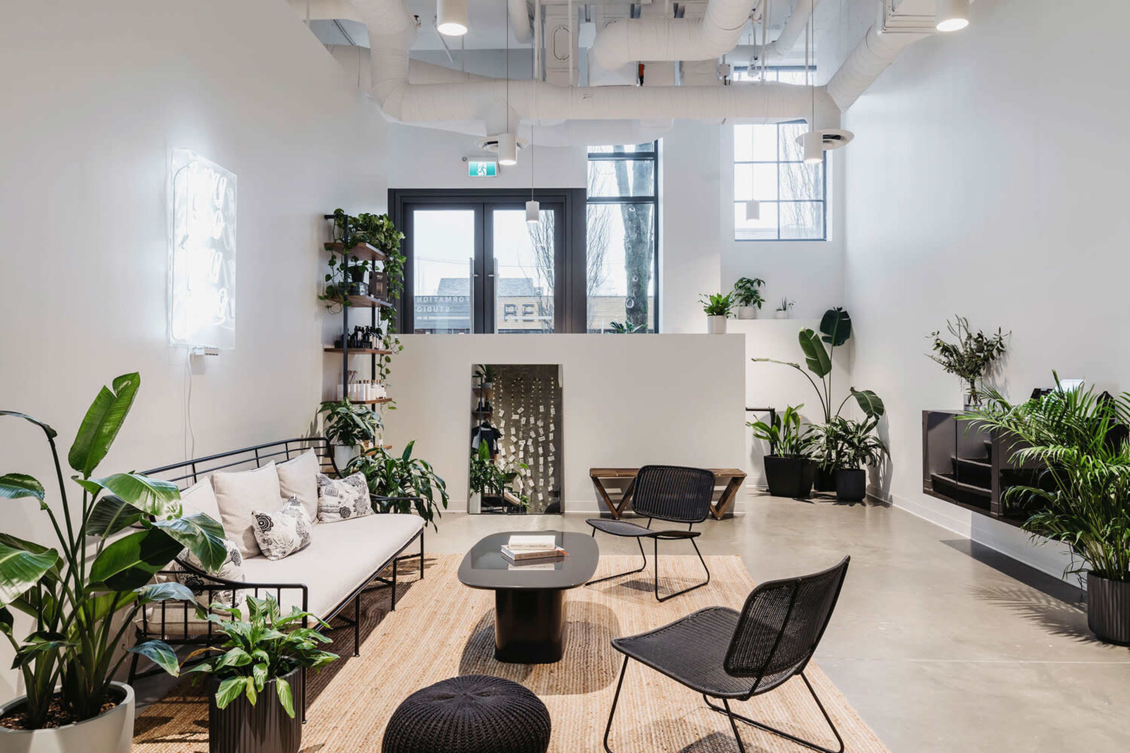 A modern lounge area featuring a sofa, black chairs, a coffee table, and numerous plants, with large windows allowing natural light to enter.