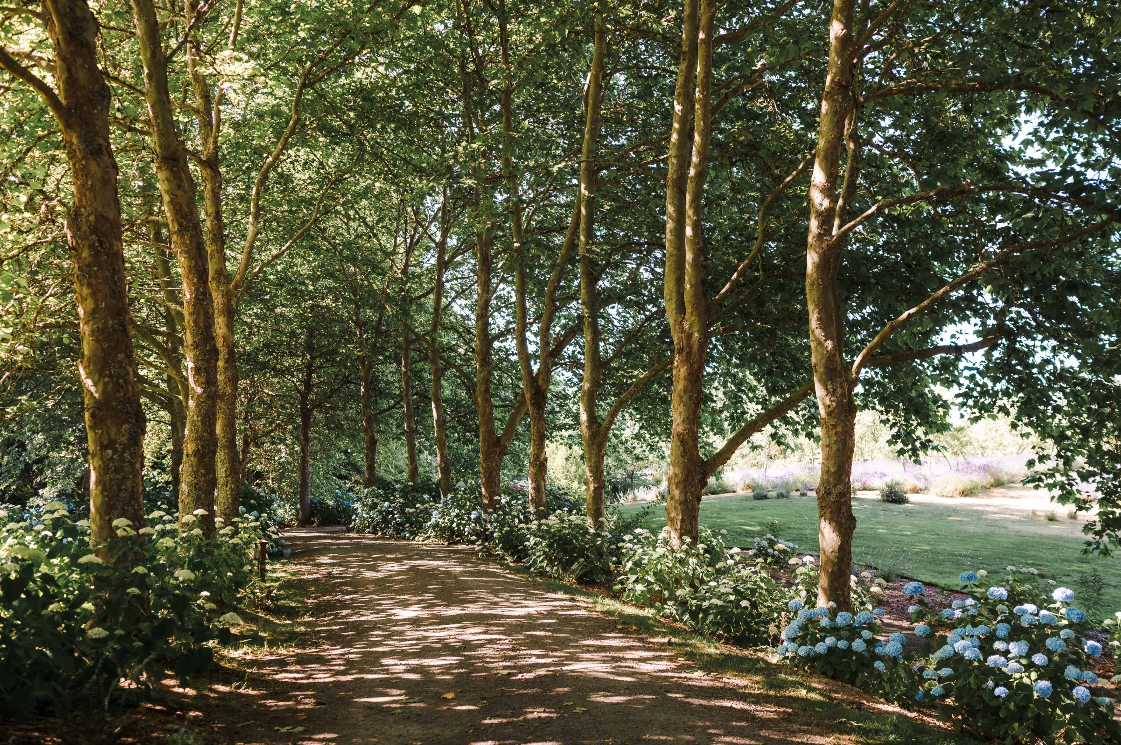 “Magical” Midcentury on 27 Acres Image in , KINGSTON, WA