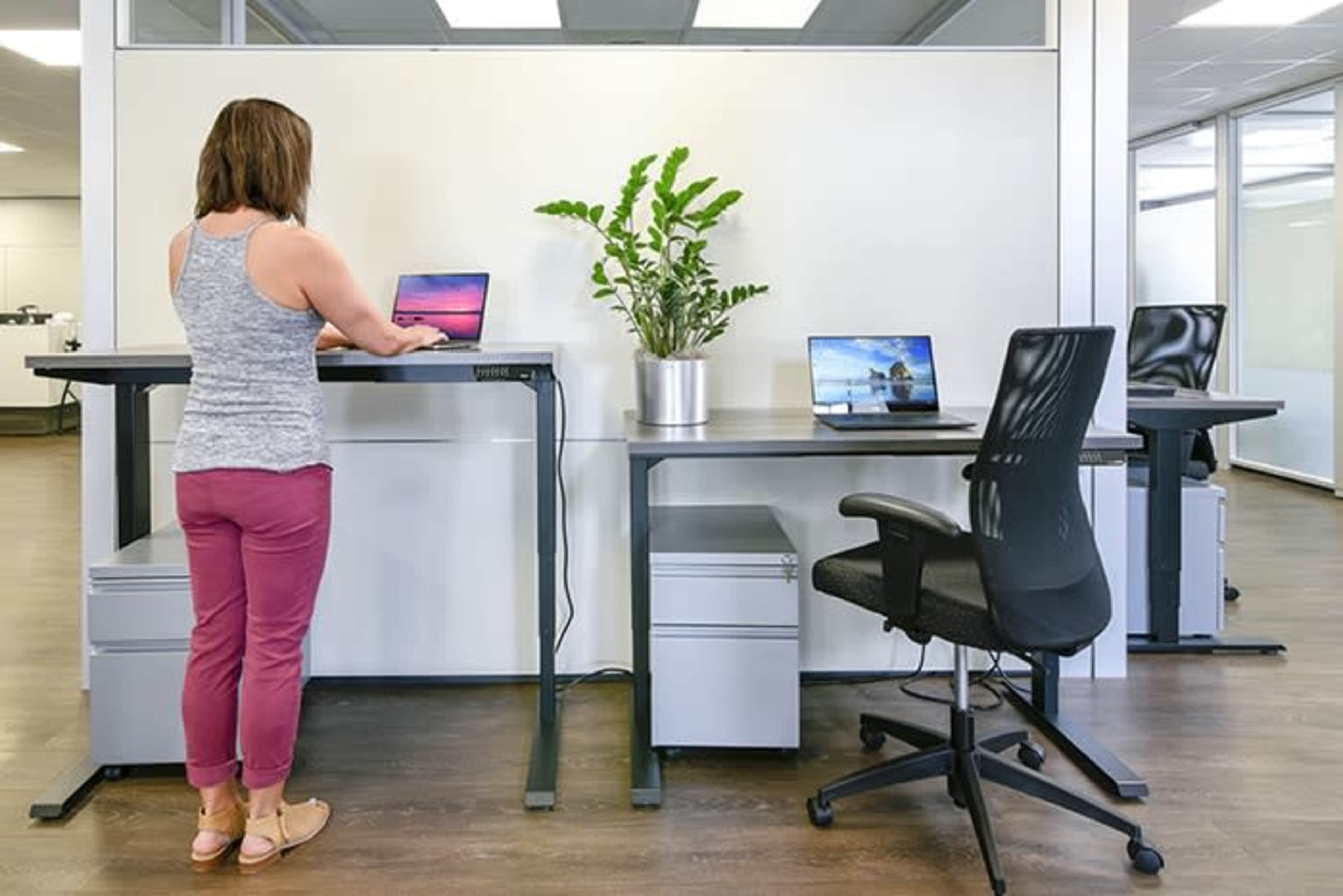 A woman stands at a standing desk, working on a laptop, with additional laptops on nearby desks and a potted plant in the center.