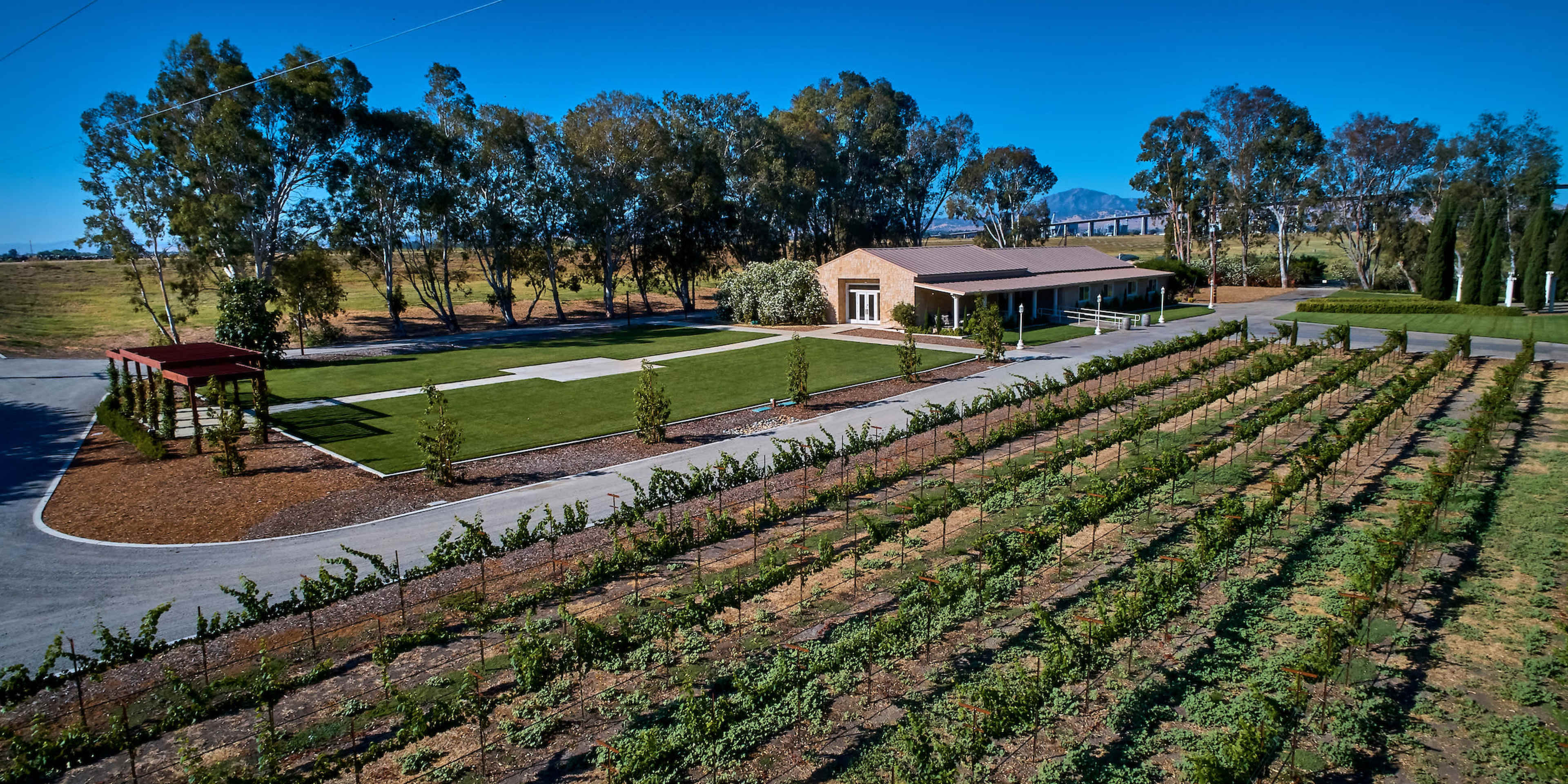 A vineyard with neatly planted rows of grapevines in the foreground and a modern building with a landscaped area in the background.