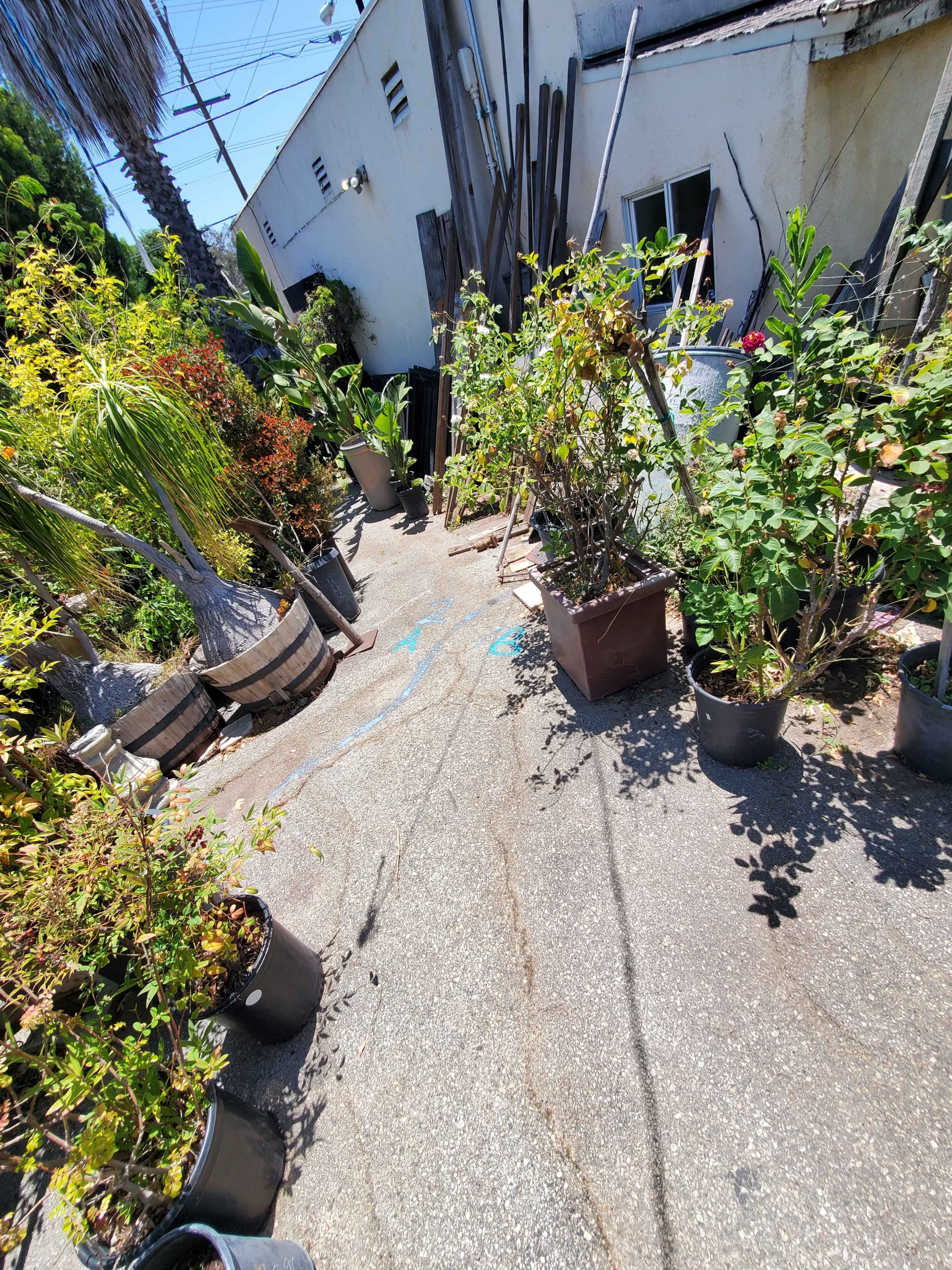 A concrete area filled with various potted plants and gardening materials alongside a building.