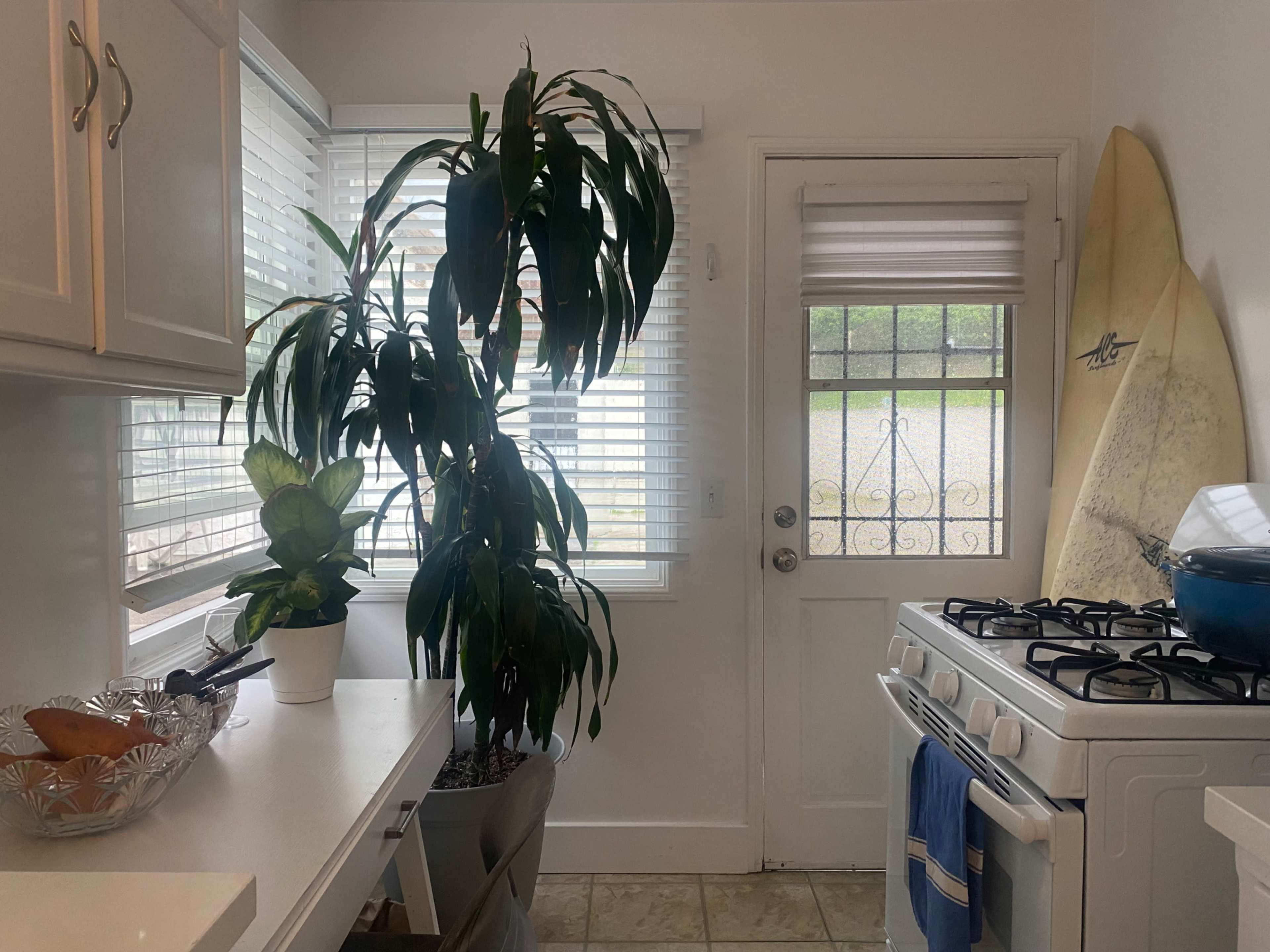 Multipurpose clean open room and kitchen with wood floors. Great for booking private clients for yoga, recordings or meetings of all sorts Image in Point Loma Heights, San diego, CA