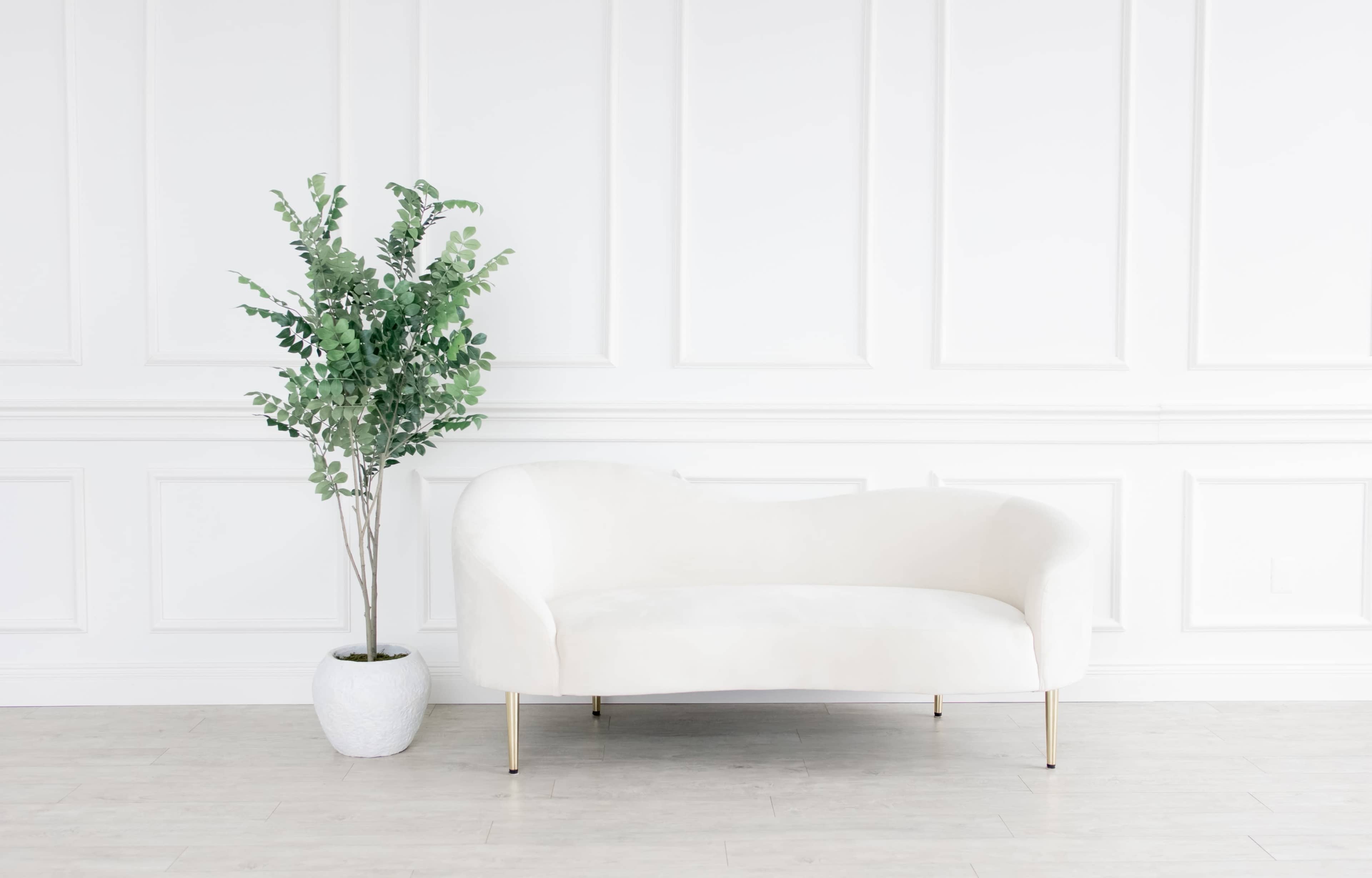 A white, curved sofa sits next to a potted plant against a white wall.