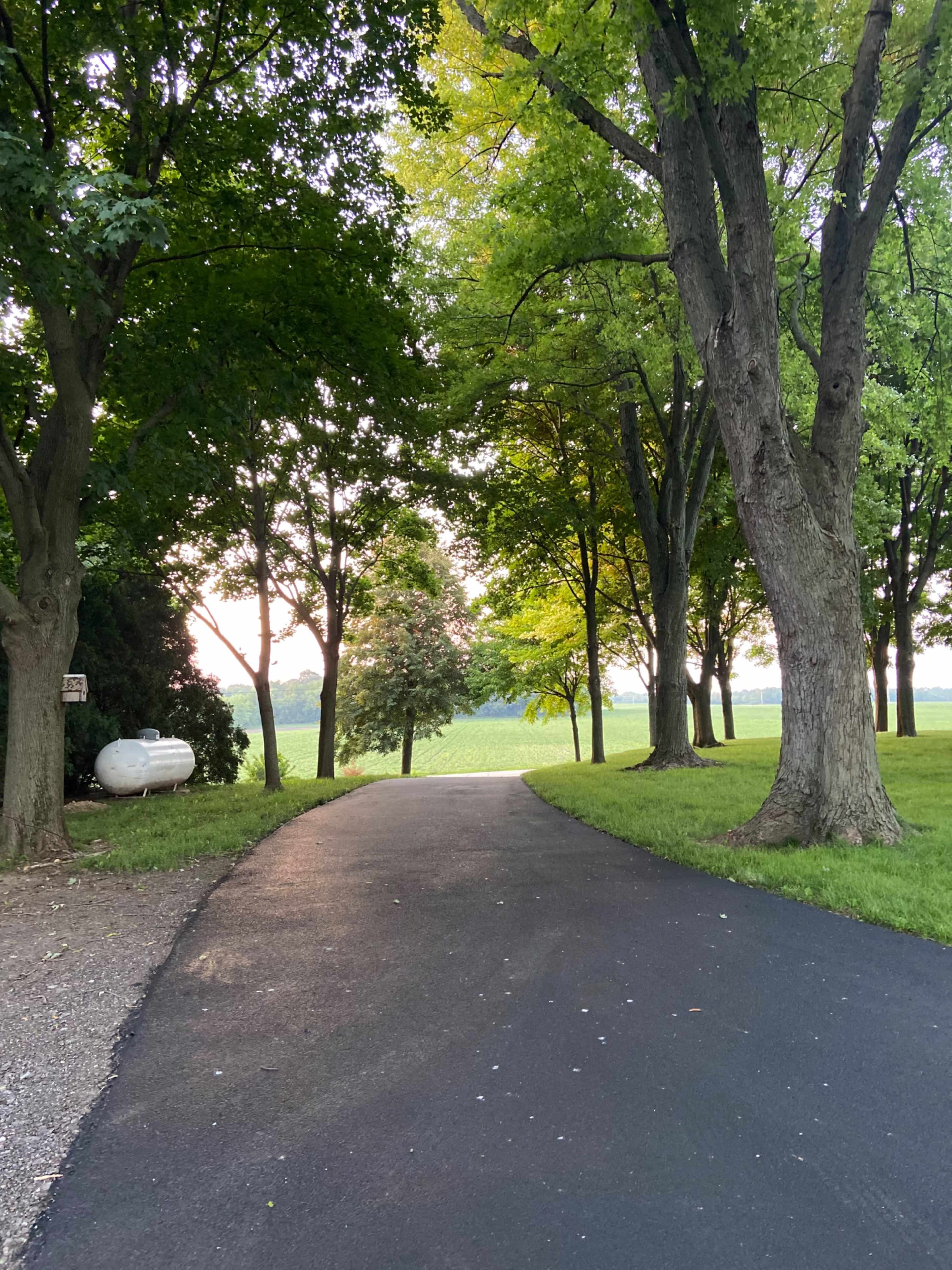 A paved driveway lined with trees leads towards a grassy area and a field in the distance.