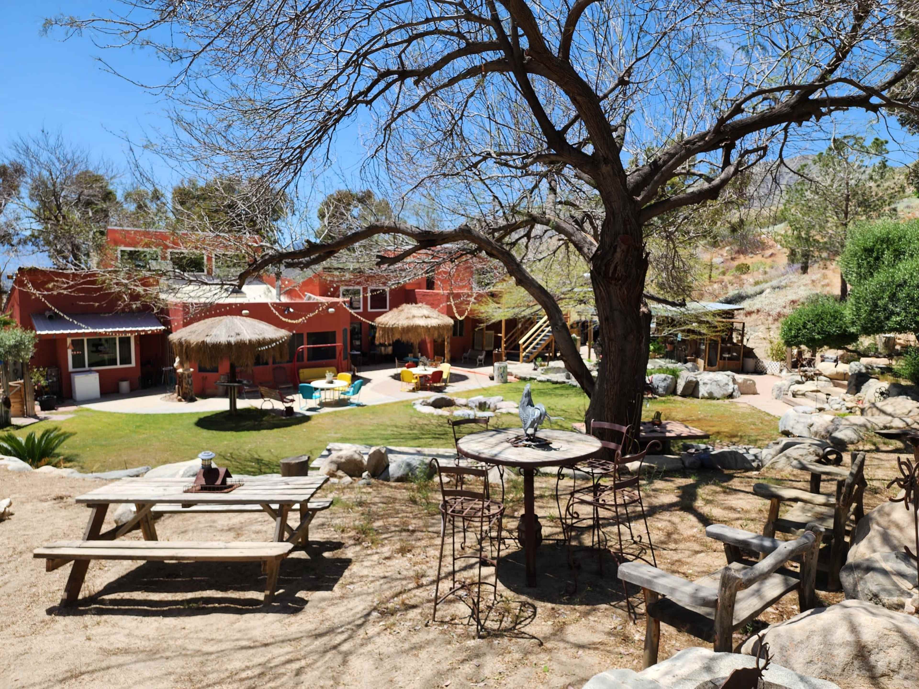 The image shows a desert courtyard featuring a large tree, a wooden picnic table, colorful chairs, and a rustic building in the background.