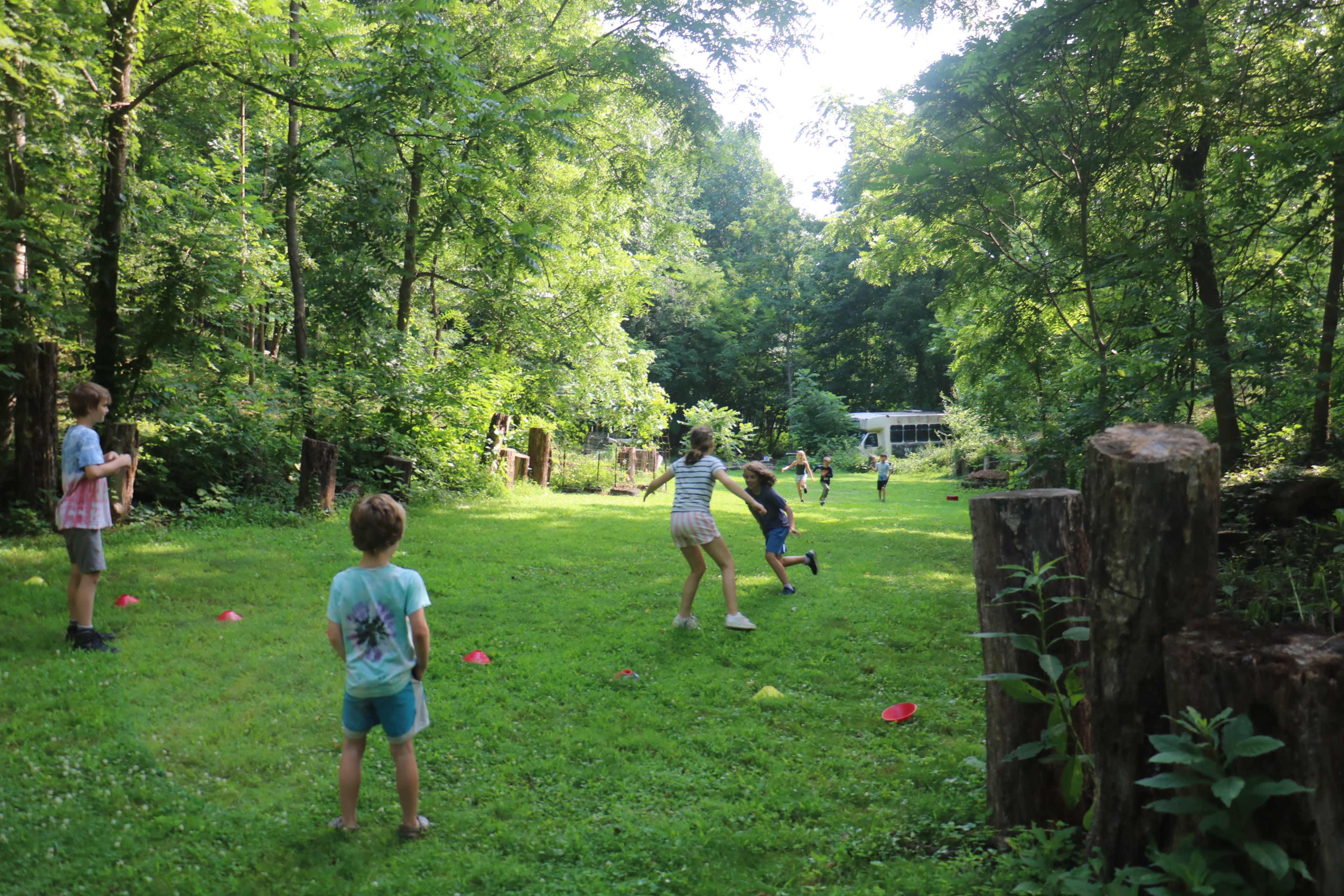 Children are playing a game on a grassy field surrounded by trees in a wooded area.