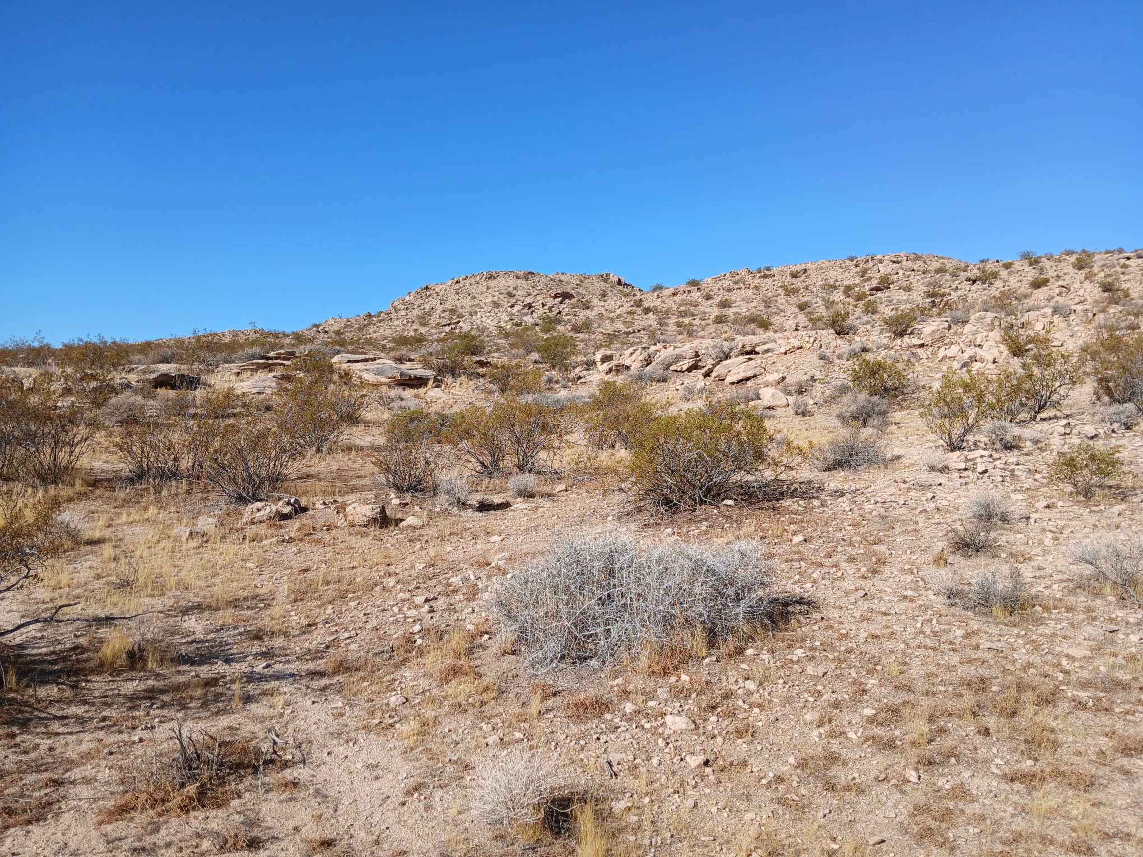 The image shows a rocky desert landscape with sparse vegetation and a clear blue sky.