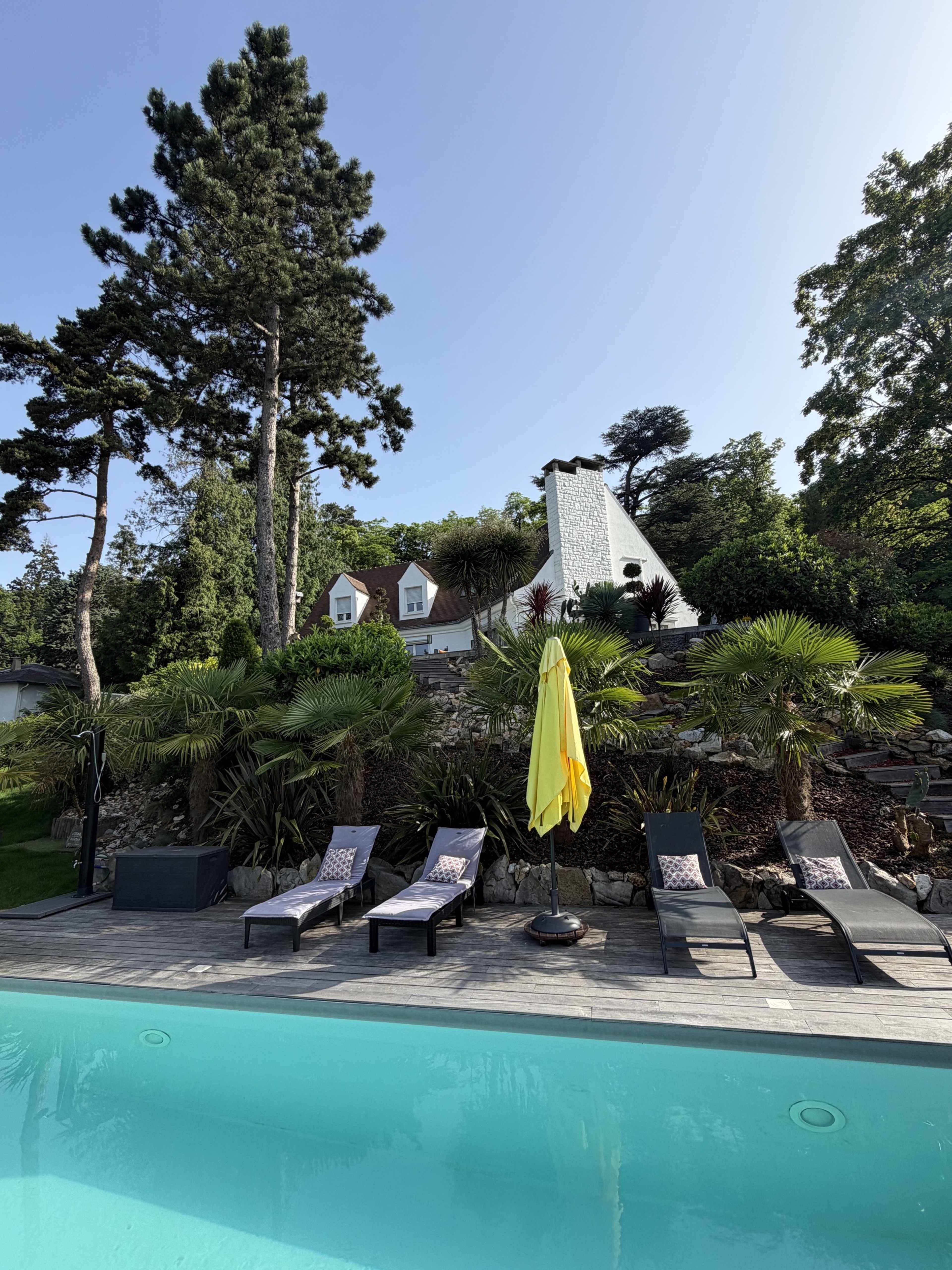 A swimming pool with lounge chairs is in the foreground, while a house and a tall chimney are situated on a hillside surrounded by trees and plants.